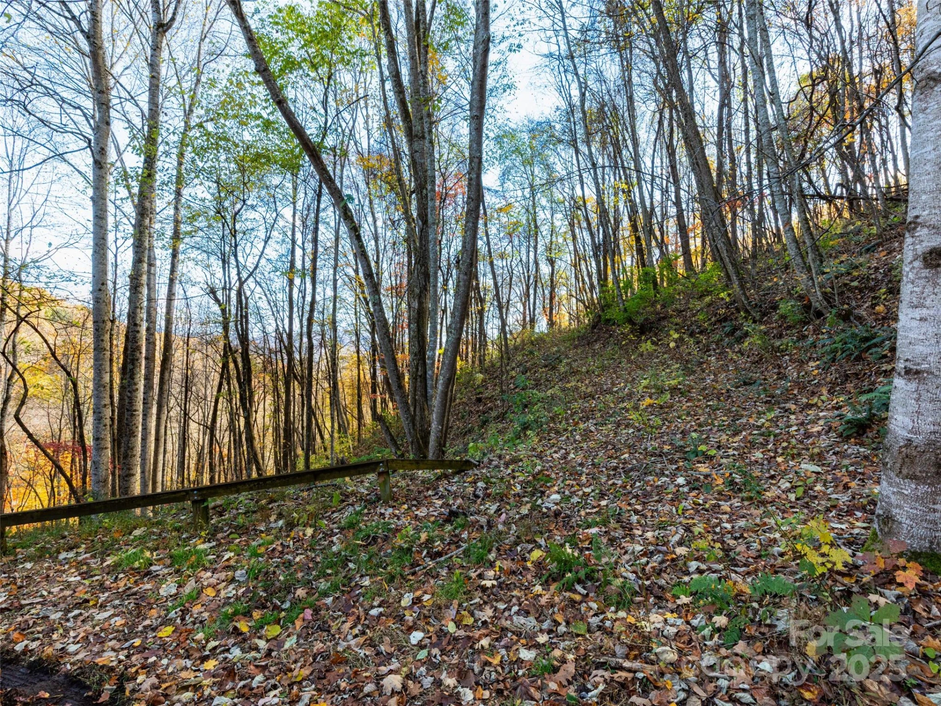 00 Village Lane #Lot 1 - Photo 8