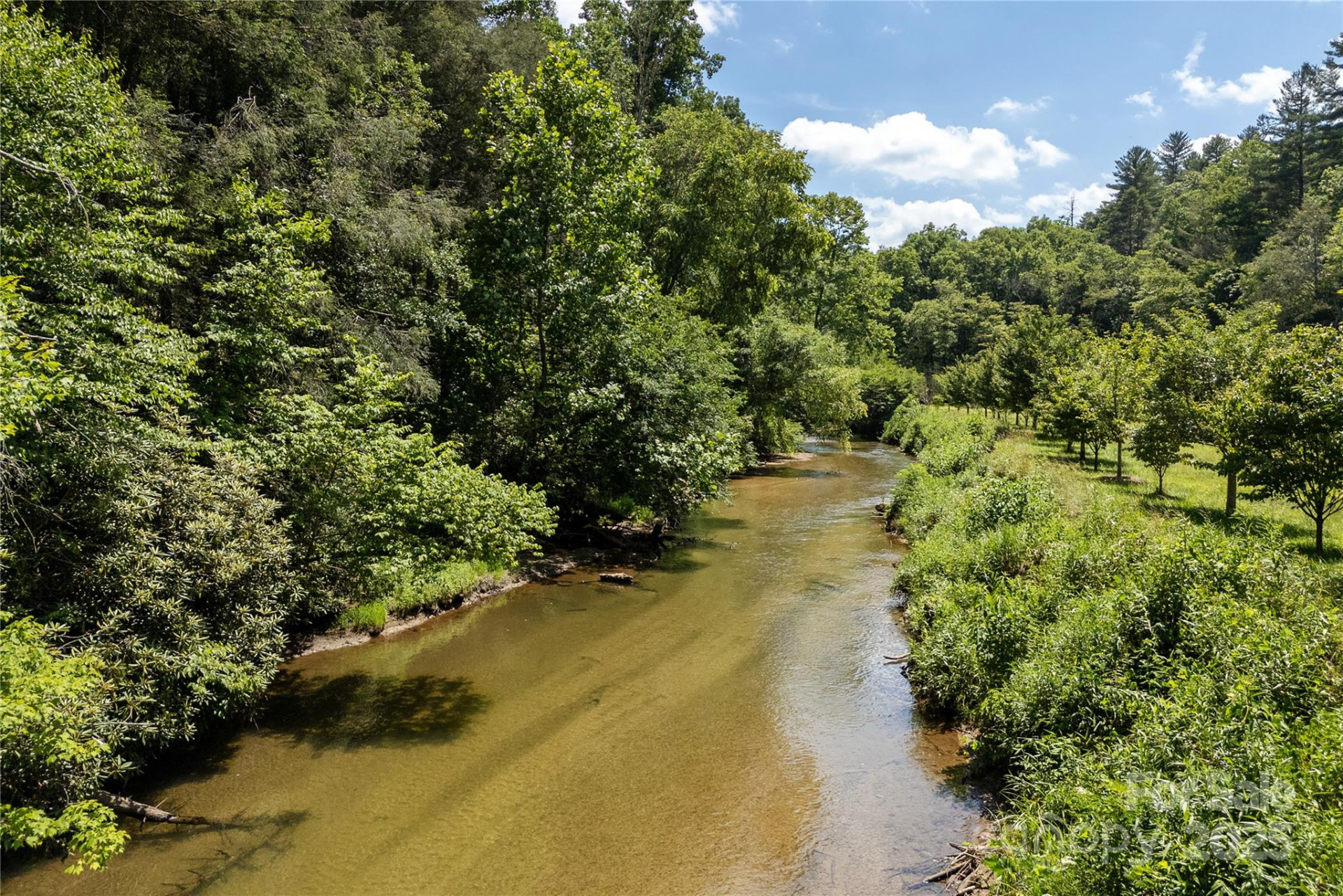 458 Rio Verde Drive - Photo 6