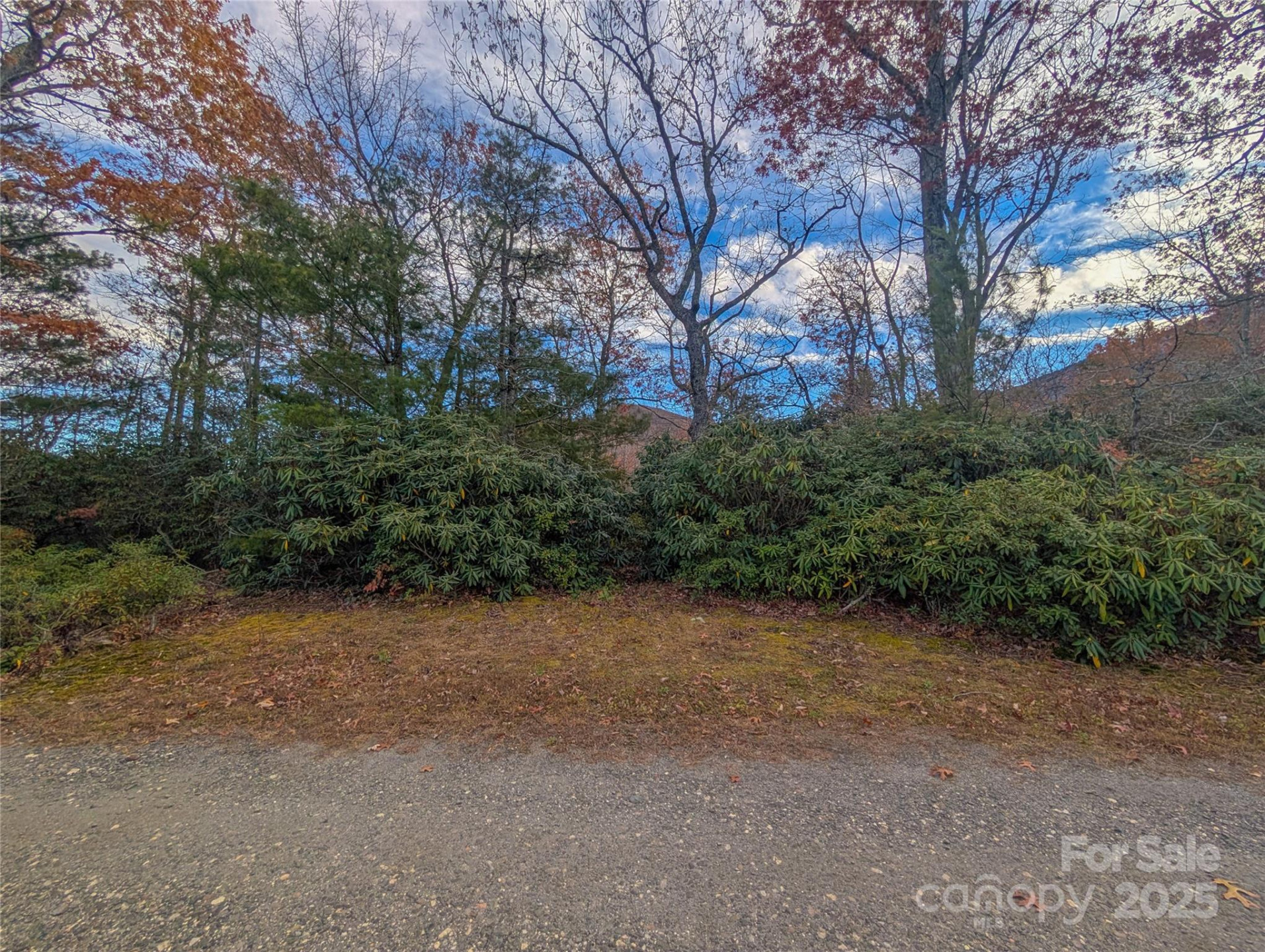 Lot 27 Cherry Hollow None - Photo 2