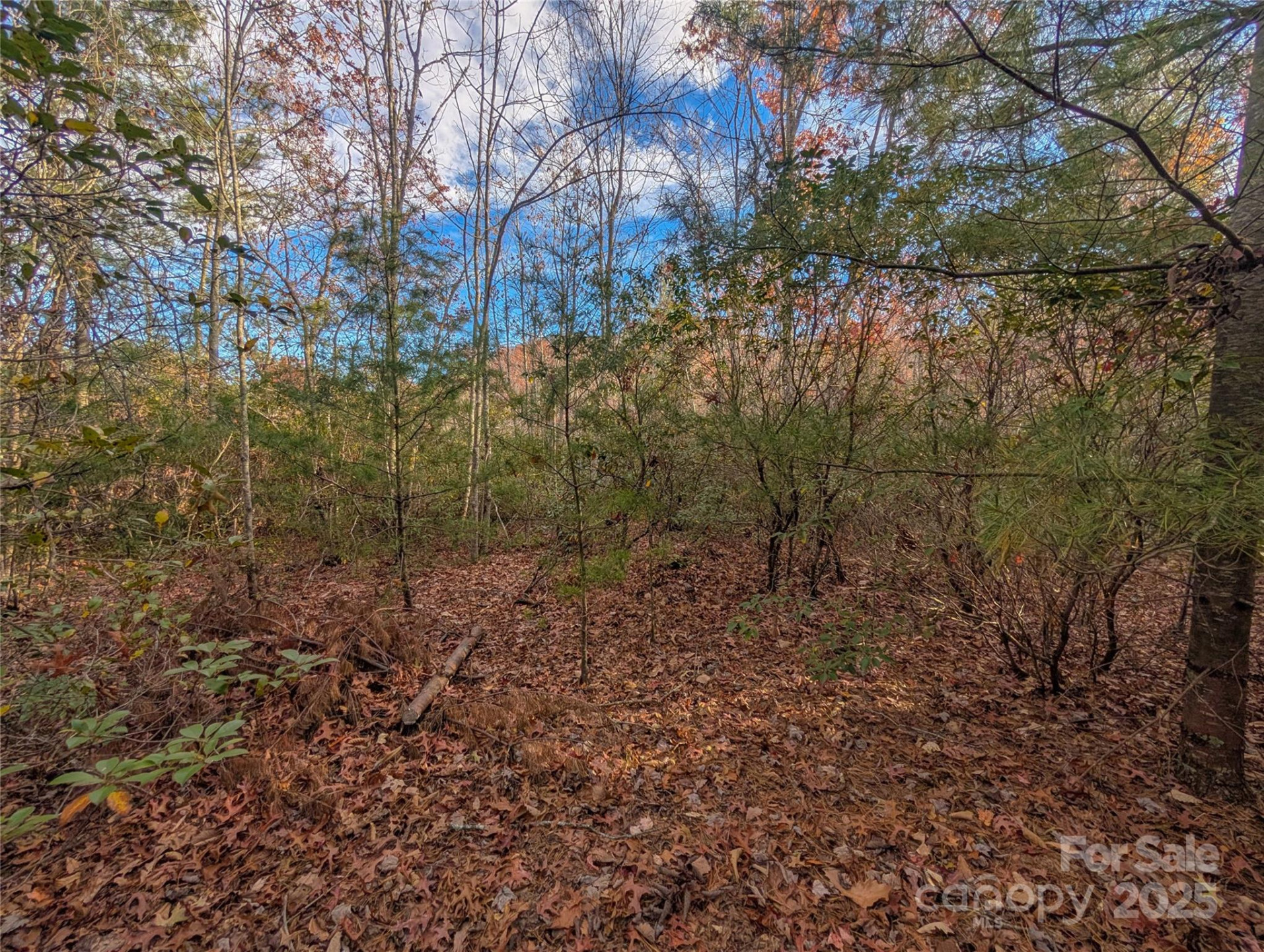 Lot 27 Cherry Hollow None - Photo 11