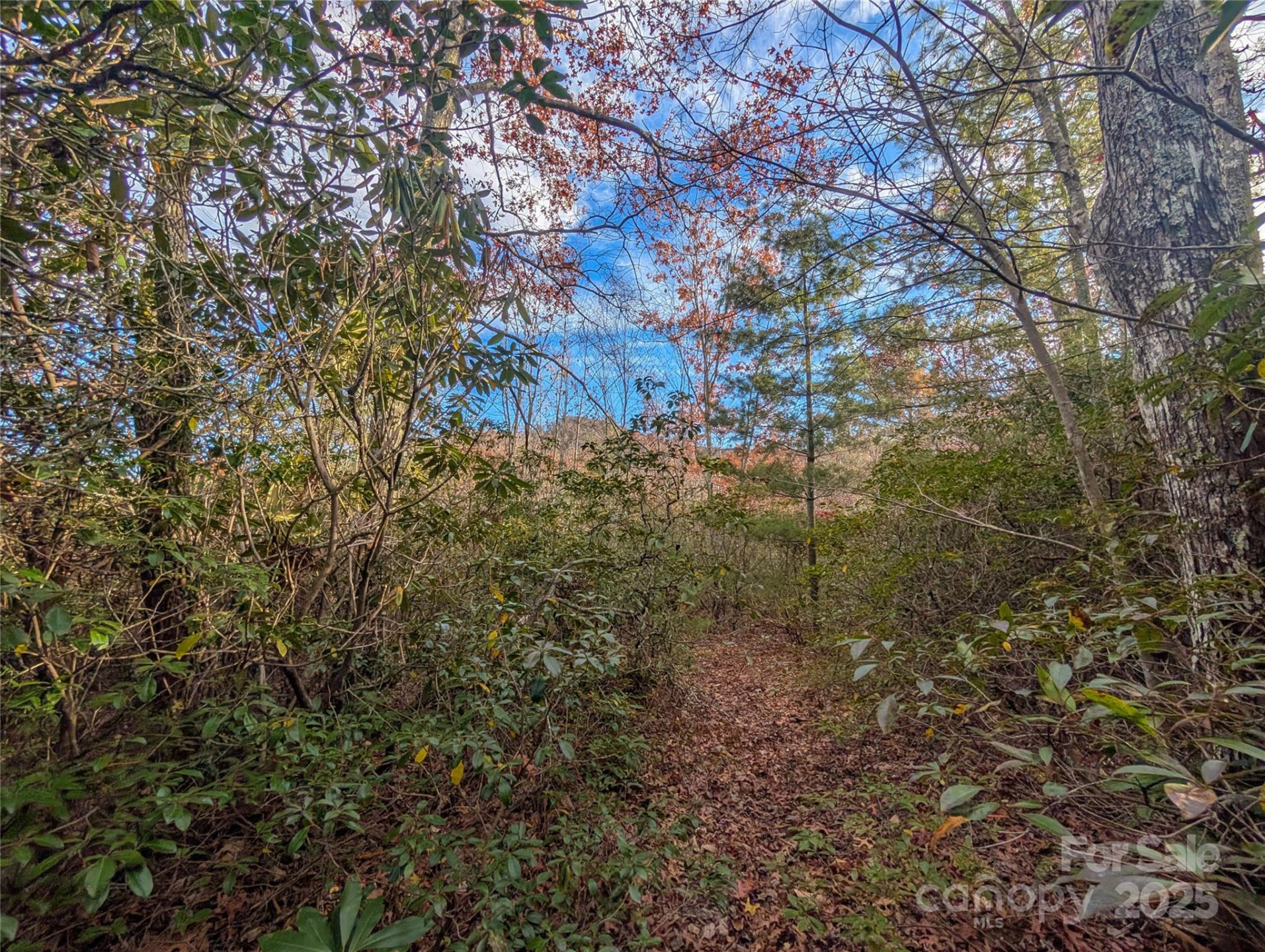 Lot 27 Cherry Hollow None - Photo 12