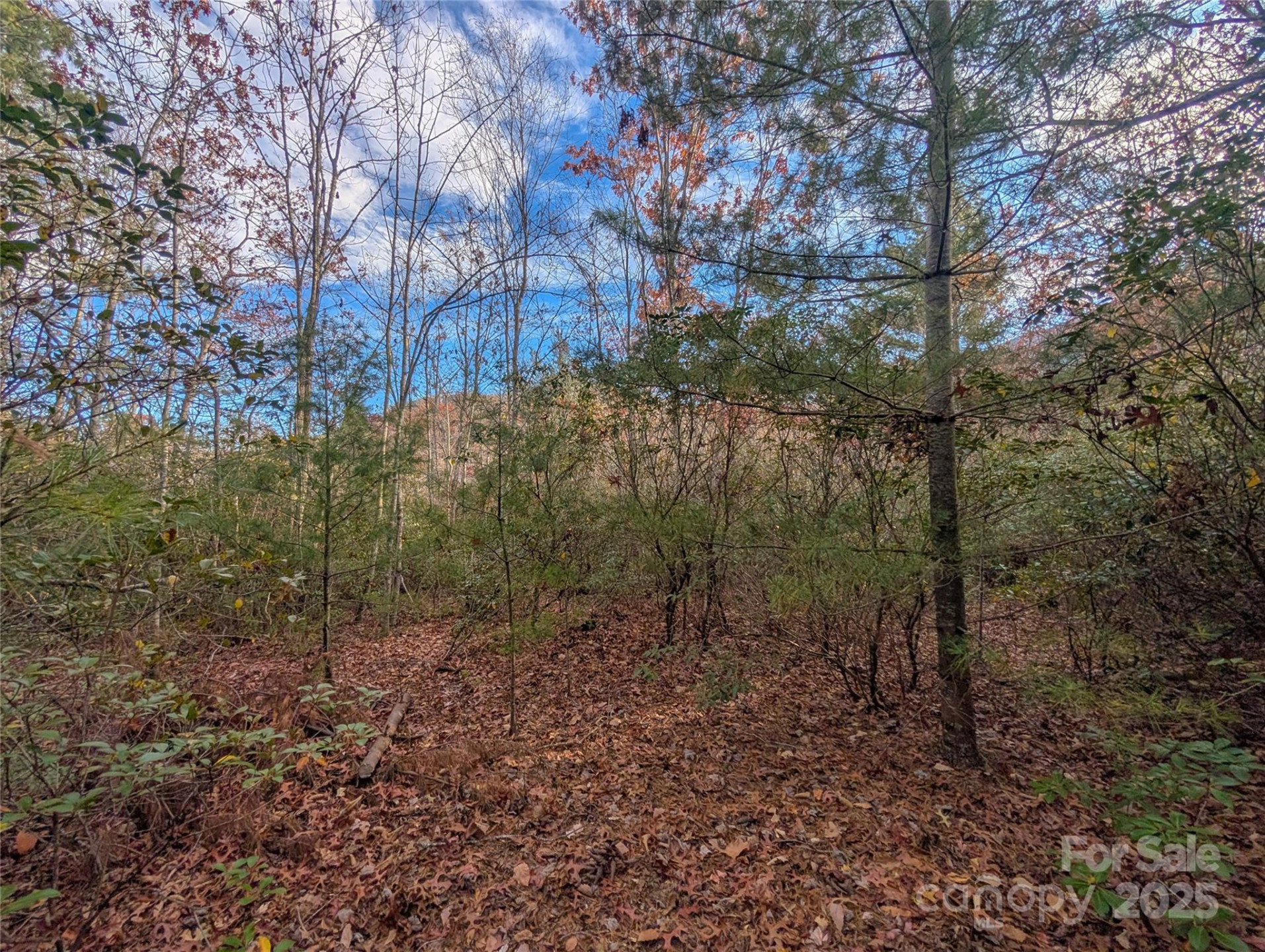 Lot 27 Cherry Hollow None - Photo 13