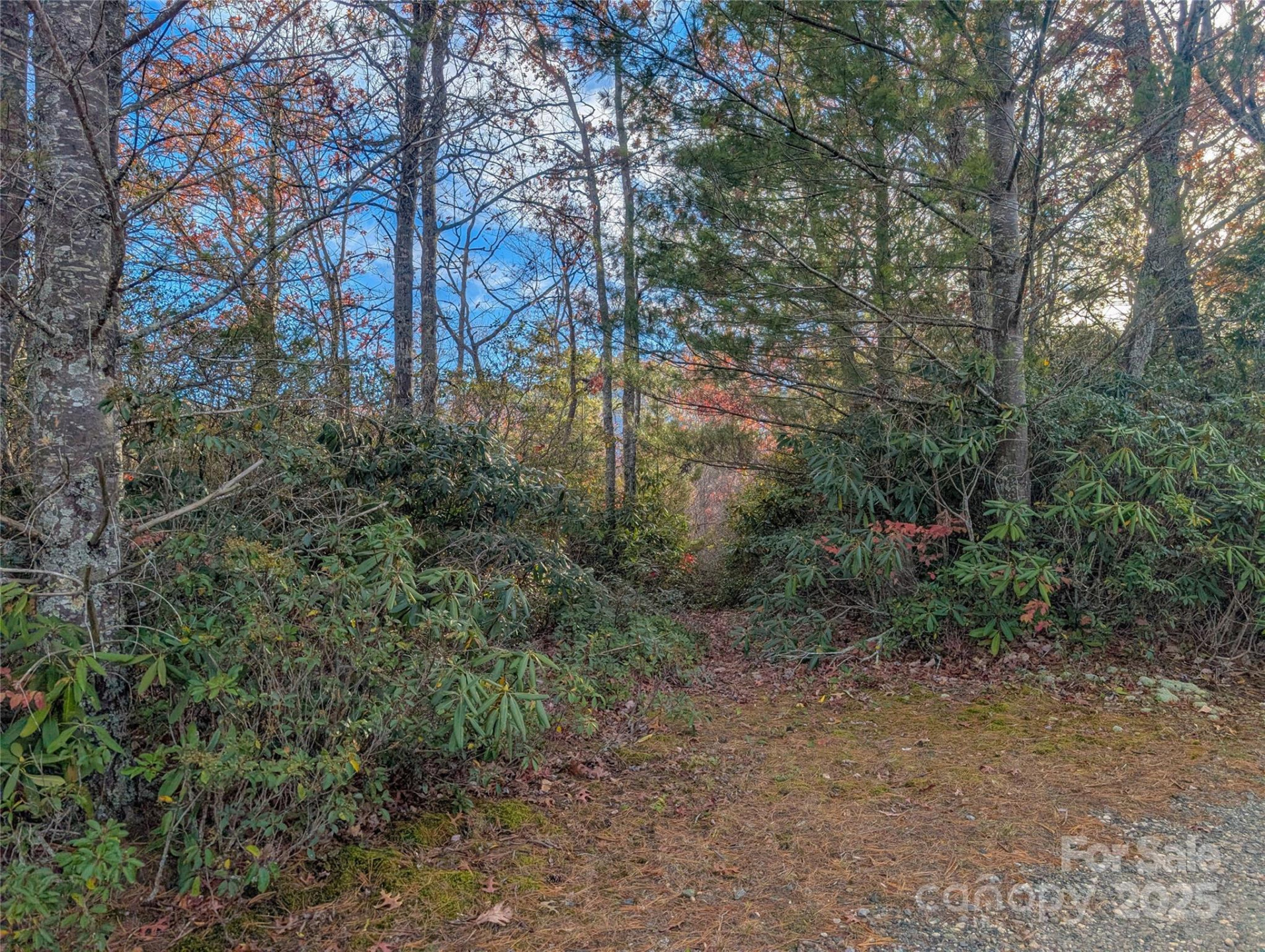 Lot 27 Cherry Hollow None - Photo 14