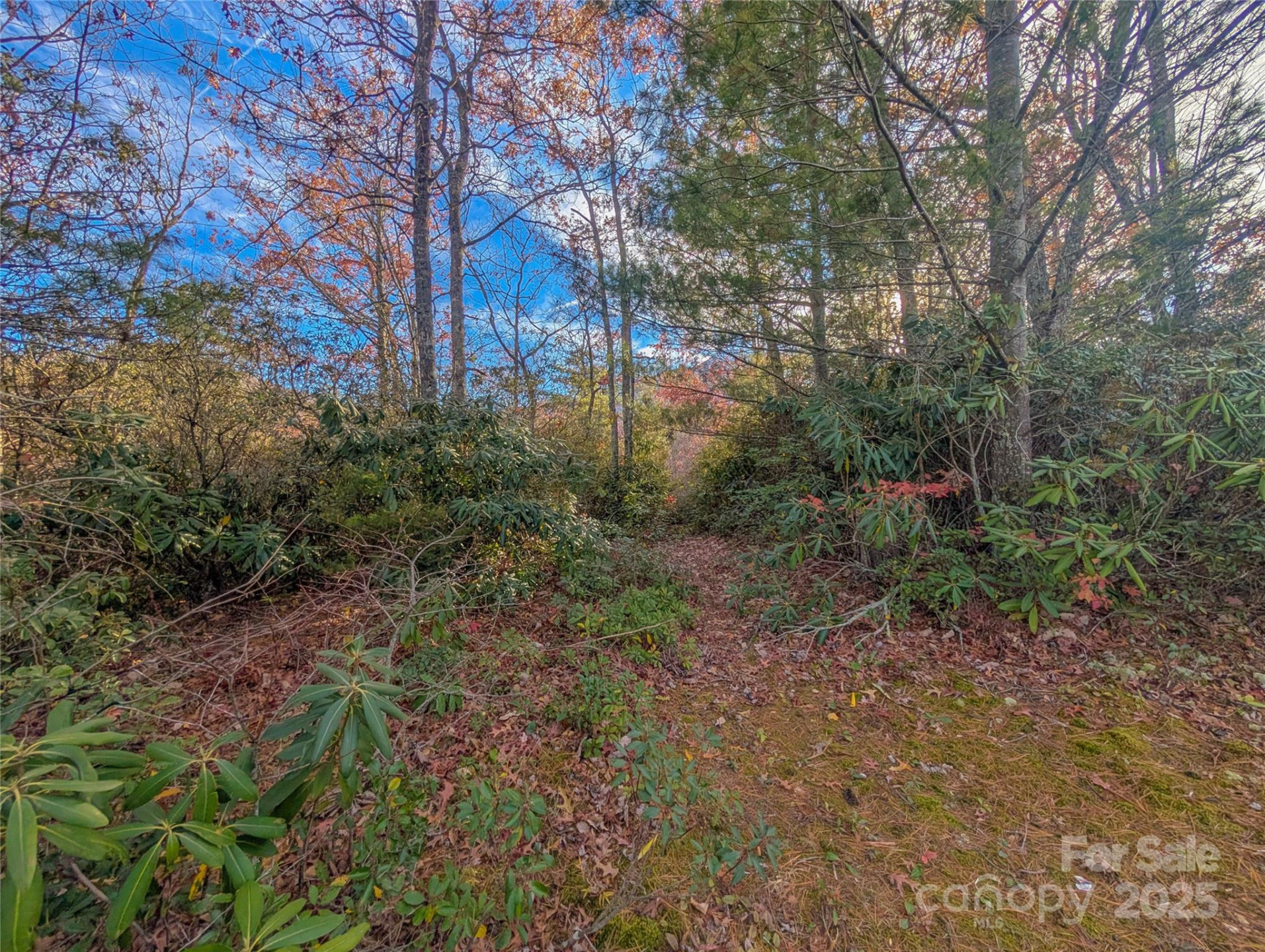 Lot 27 Cherry Hollow None - Photo 15