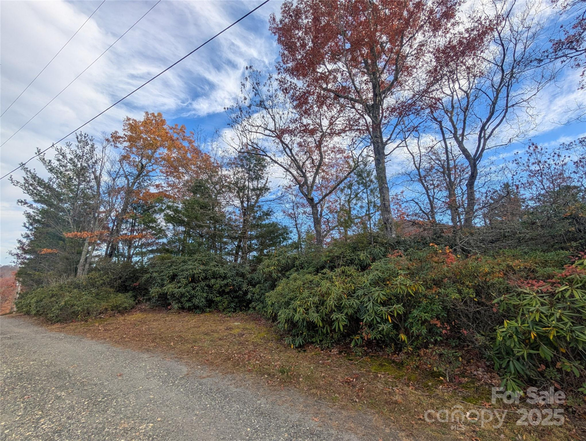 Lot 27 Cherry Hollow None - Photo 4