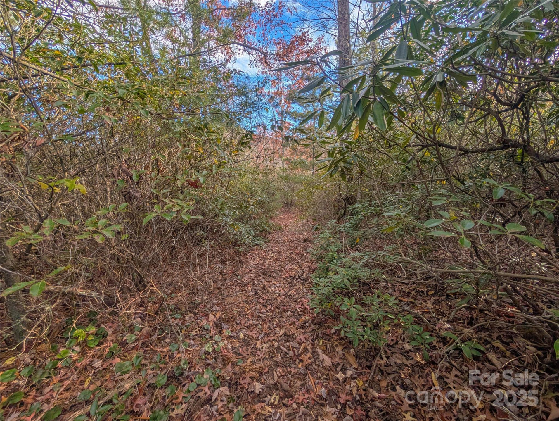 Lot 27 Cherry Hollow None - Photo 10