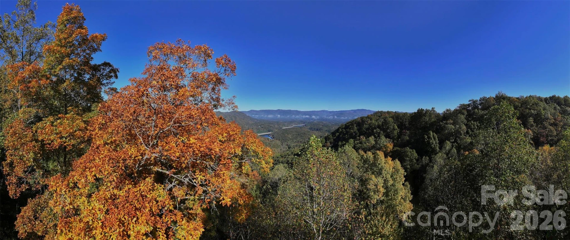 0 Glory Mountain Road - Photo 2