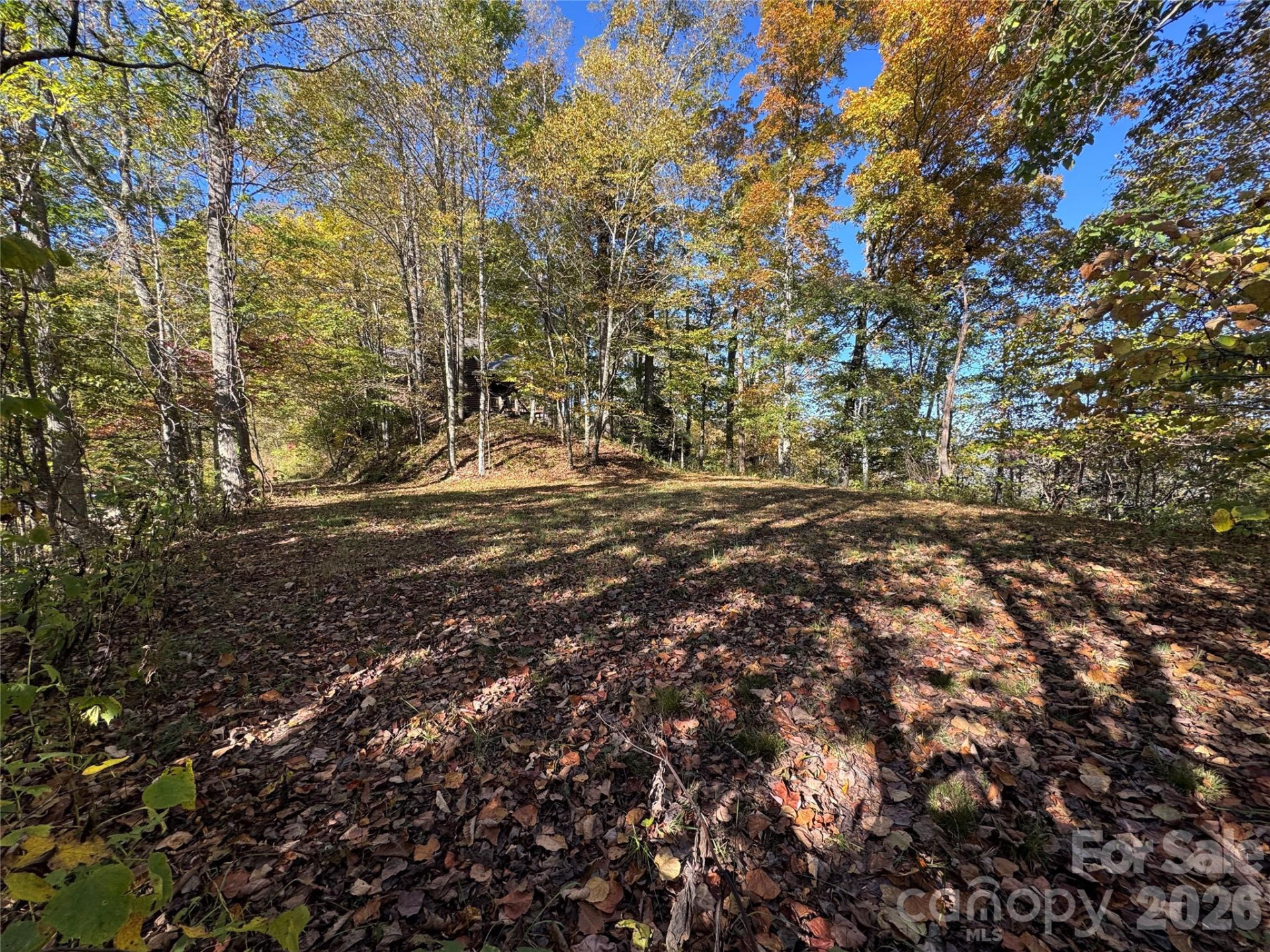 0 Glory Mountain Road - Photo 4