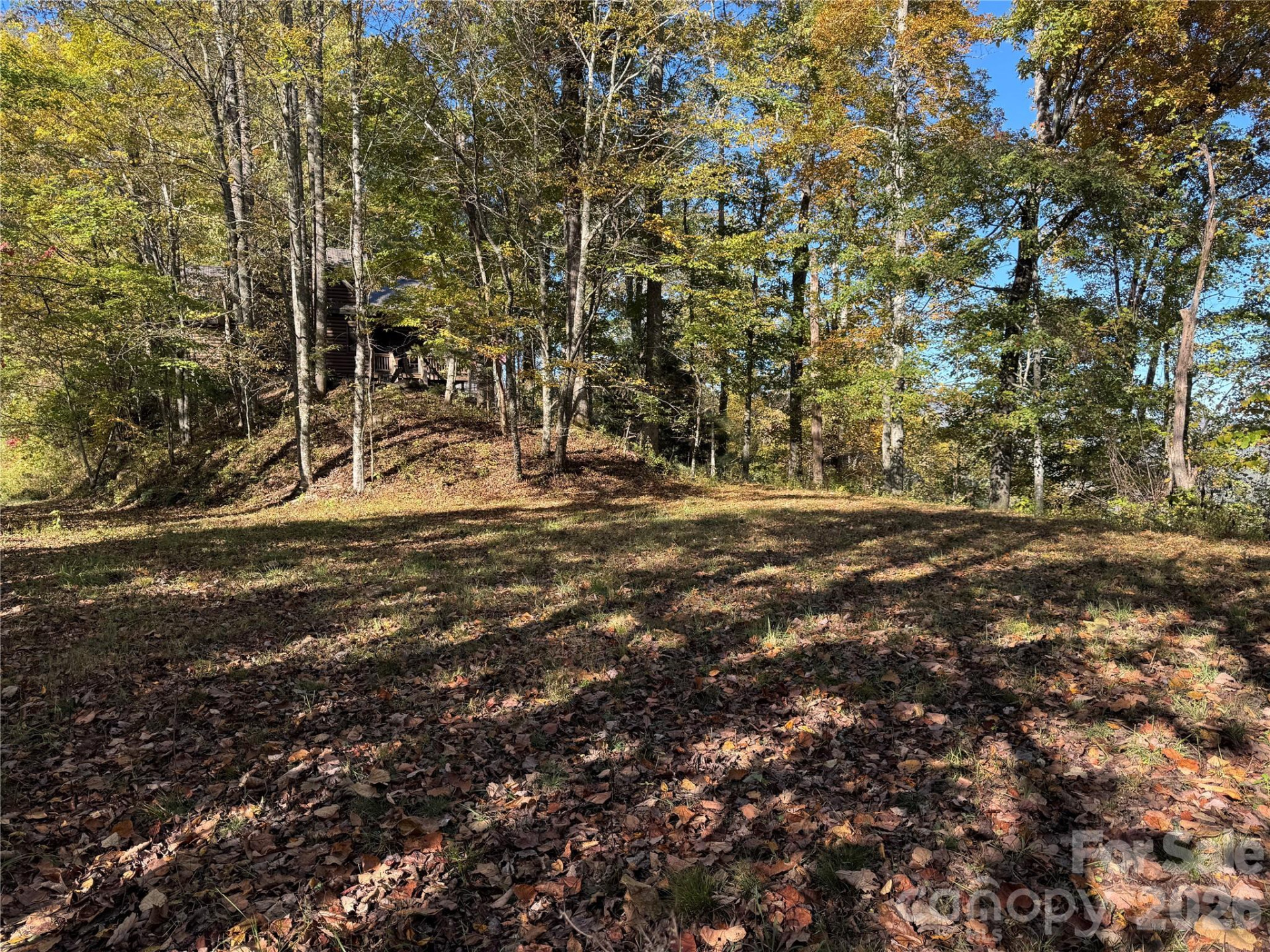 0 Glory Mountain Road - Photo 5