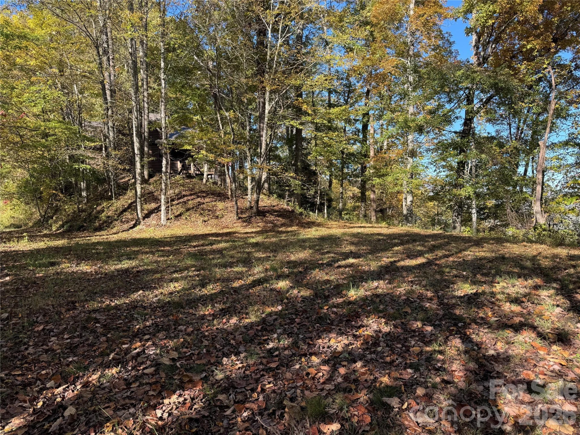 0 Glory Mountain Road - Photo 5