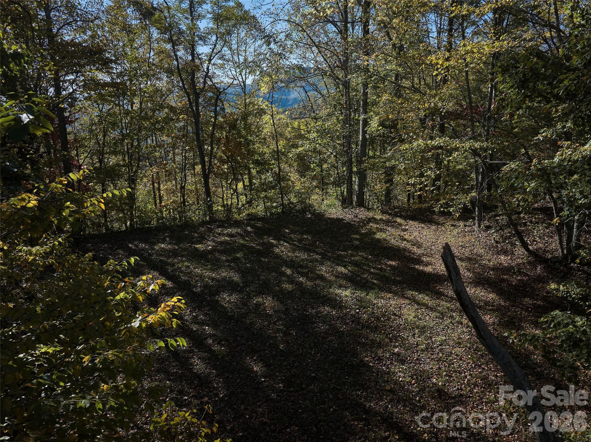 0 Glory Mountain Road - Photo 6