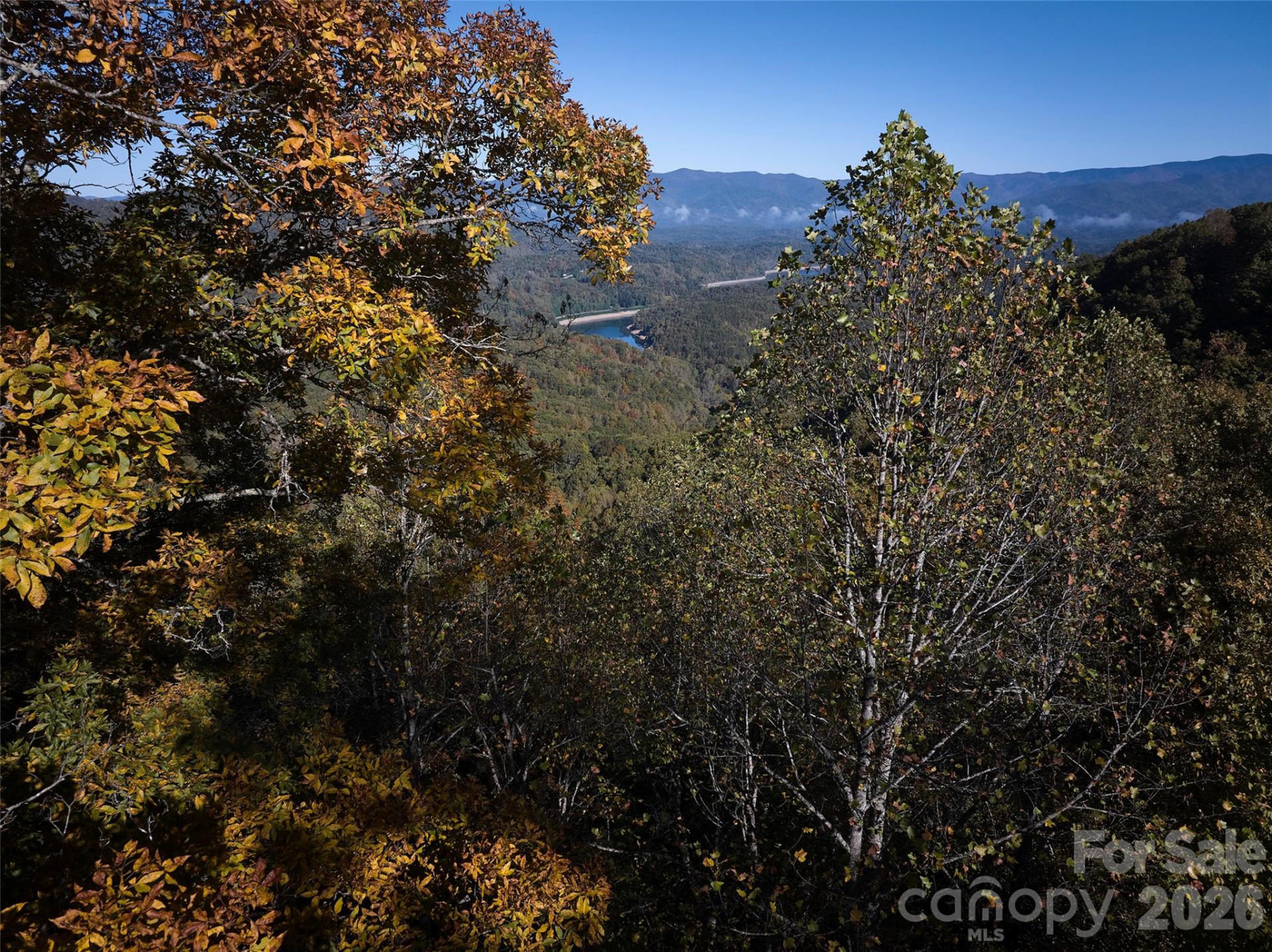 0 Glory Mountain Road - Photo 7