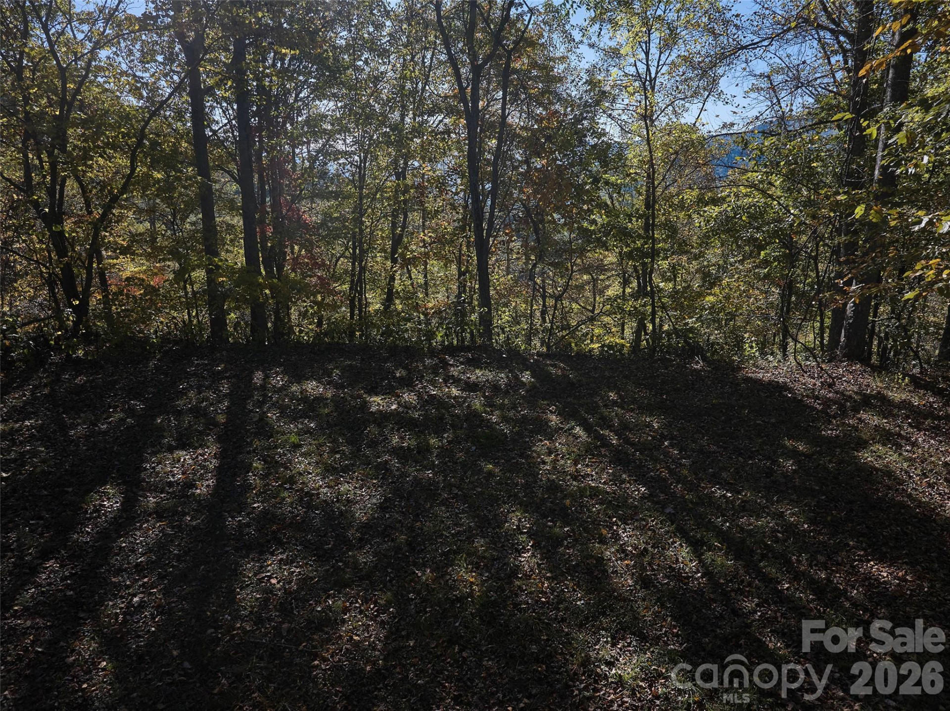 0 Glory Mountain Road - Photo 8