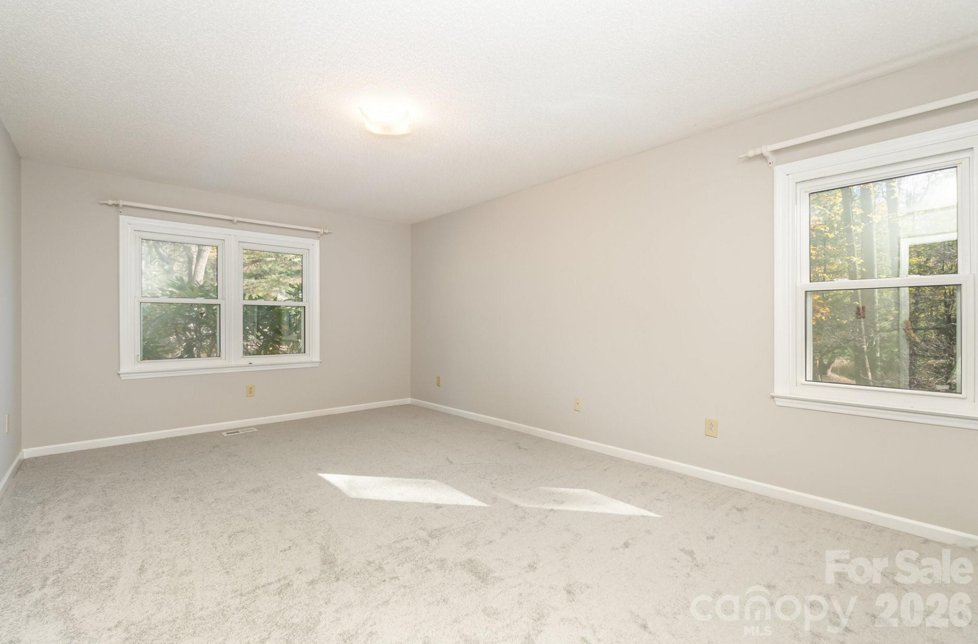 410 Hidden Woods Lane - Photo 13