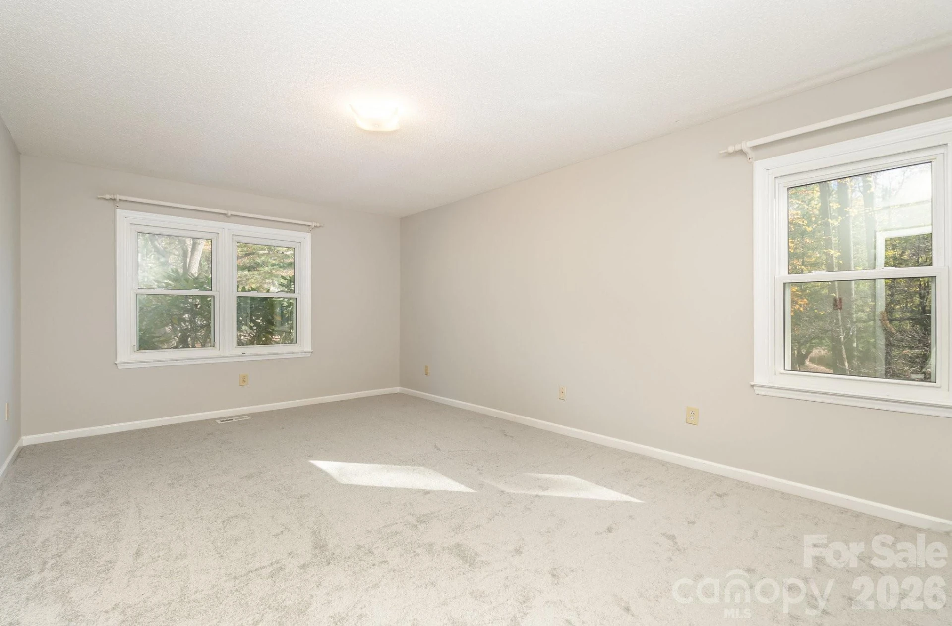 410 Hidden Woods Lane - Photo 13