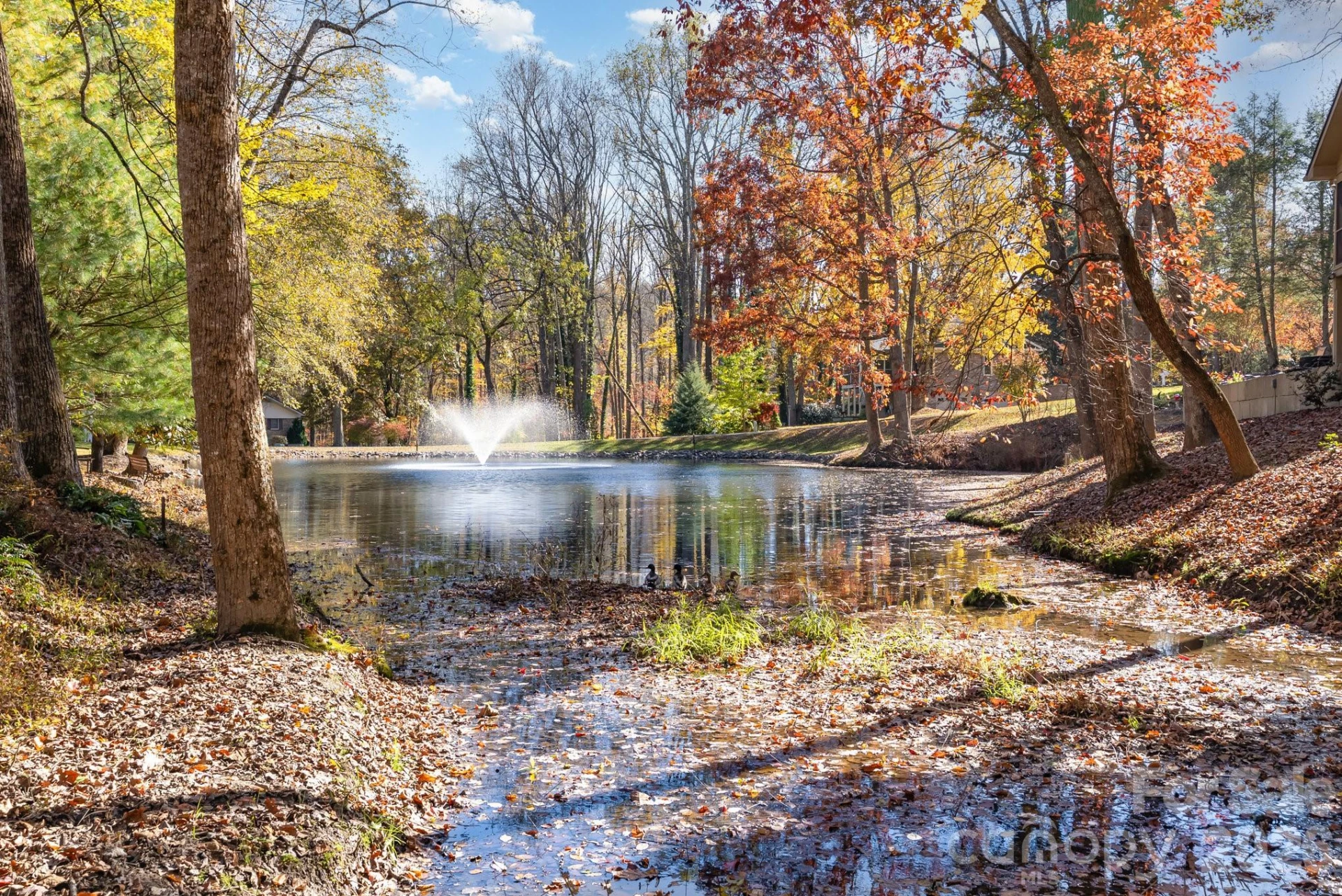 410 Hidden Woods Lane - Photo 24