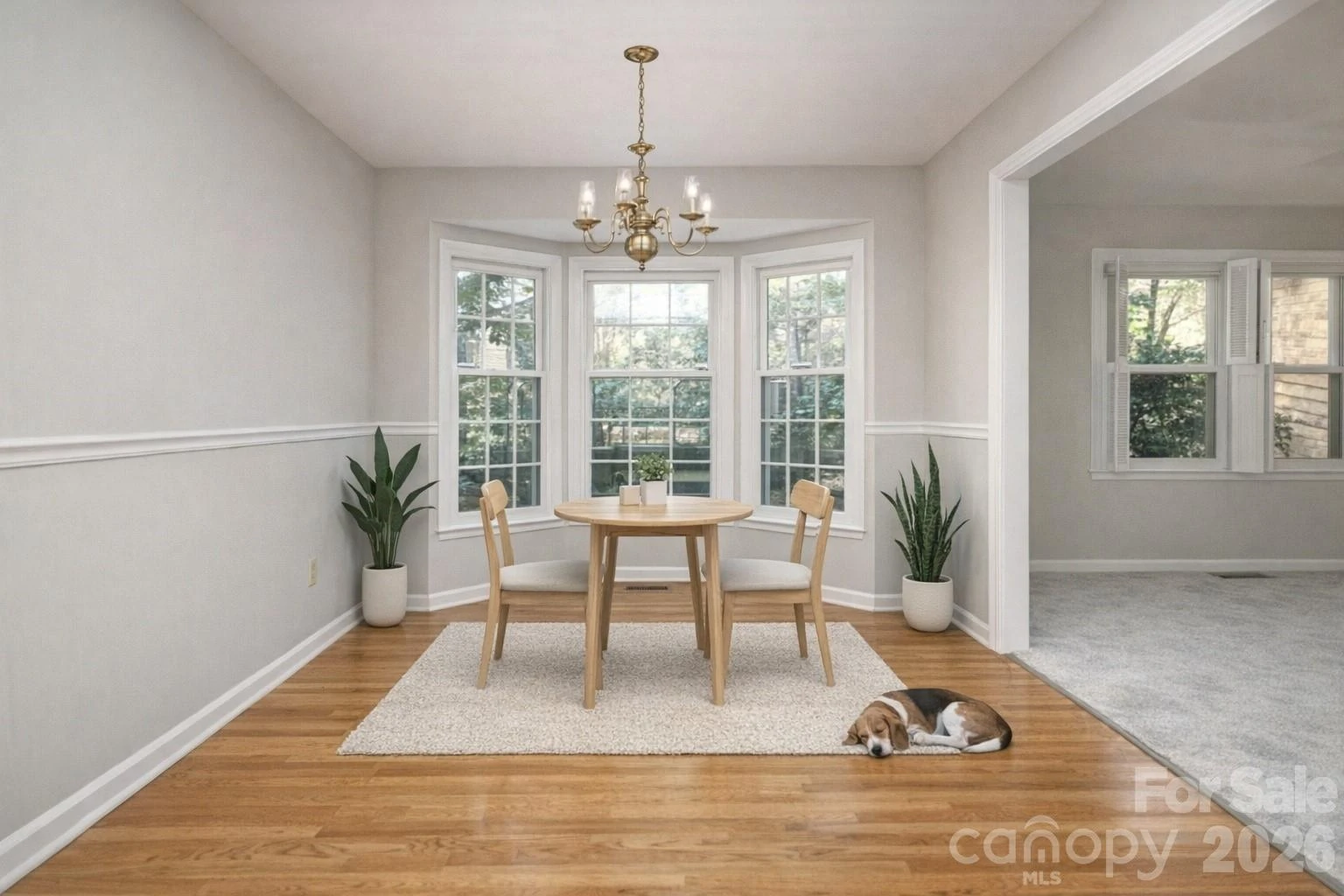 410 Hidden Woods Lane - Photo 7