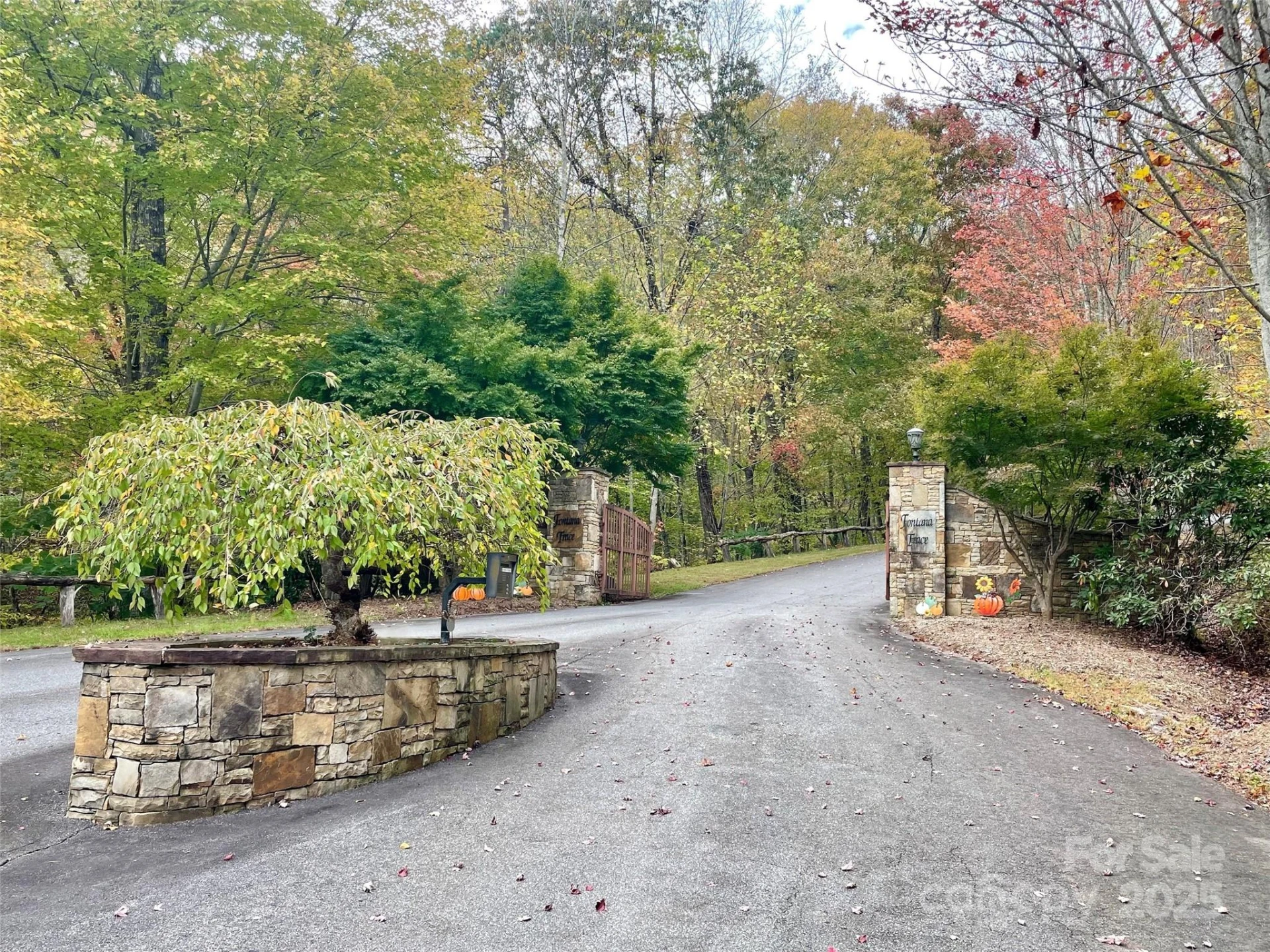 Lot 8 Rocky Ridge Road - Photo 11