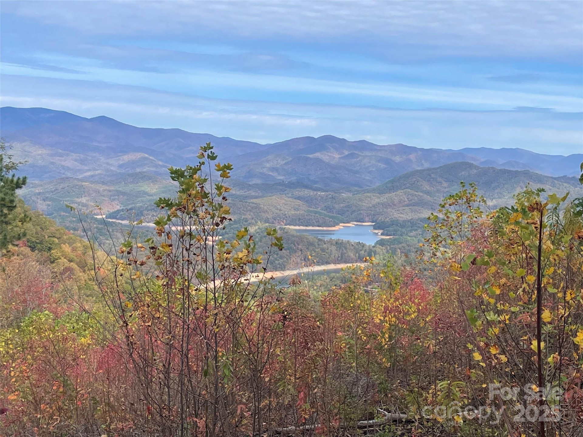 Lot 8 Rocky Ridge Road - Photo 4