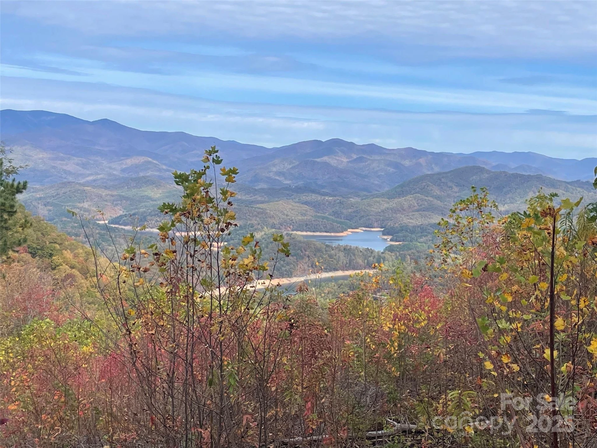 Lot 8 Rocky Ridge Road - Photo 4