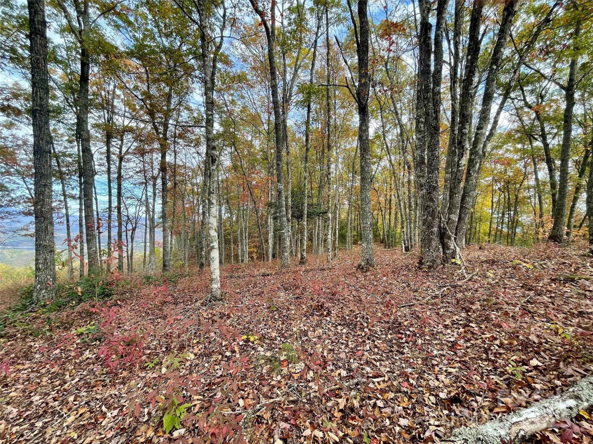 Lot 8 Rocky Ridge Road - Photo 5