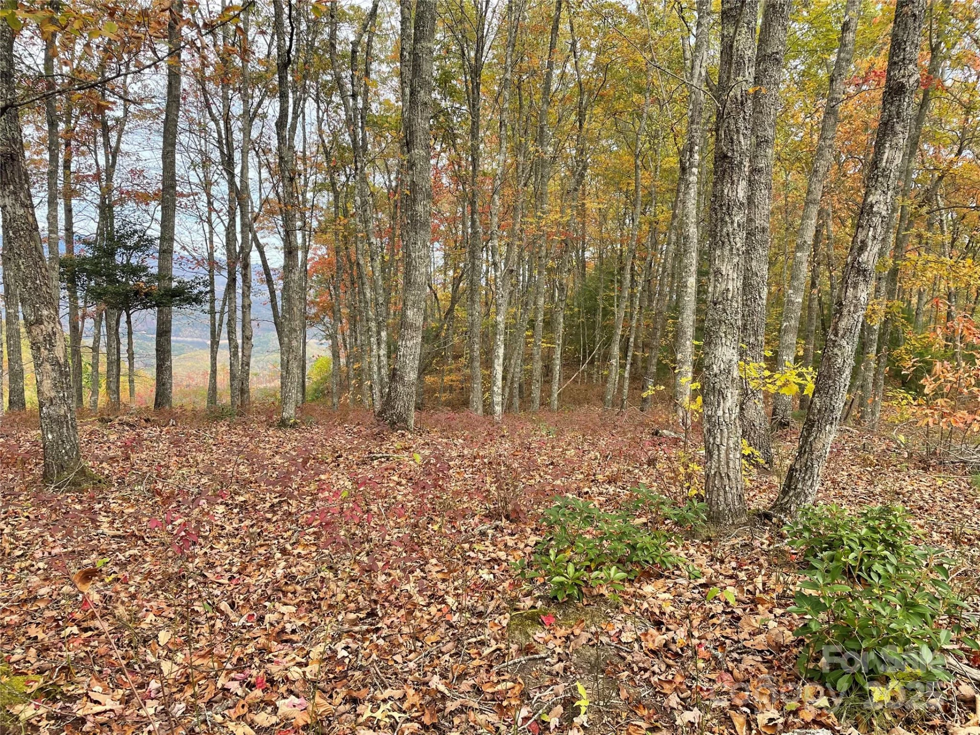Lot 8 Rocky Ridge Road - Photo 7