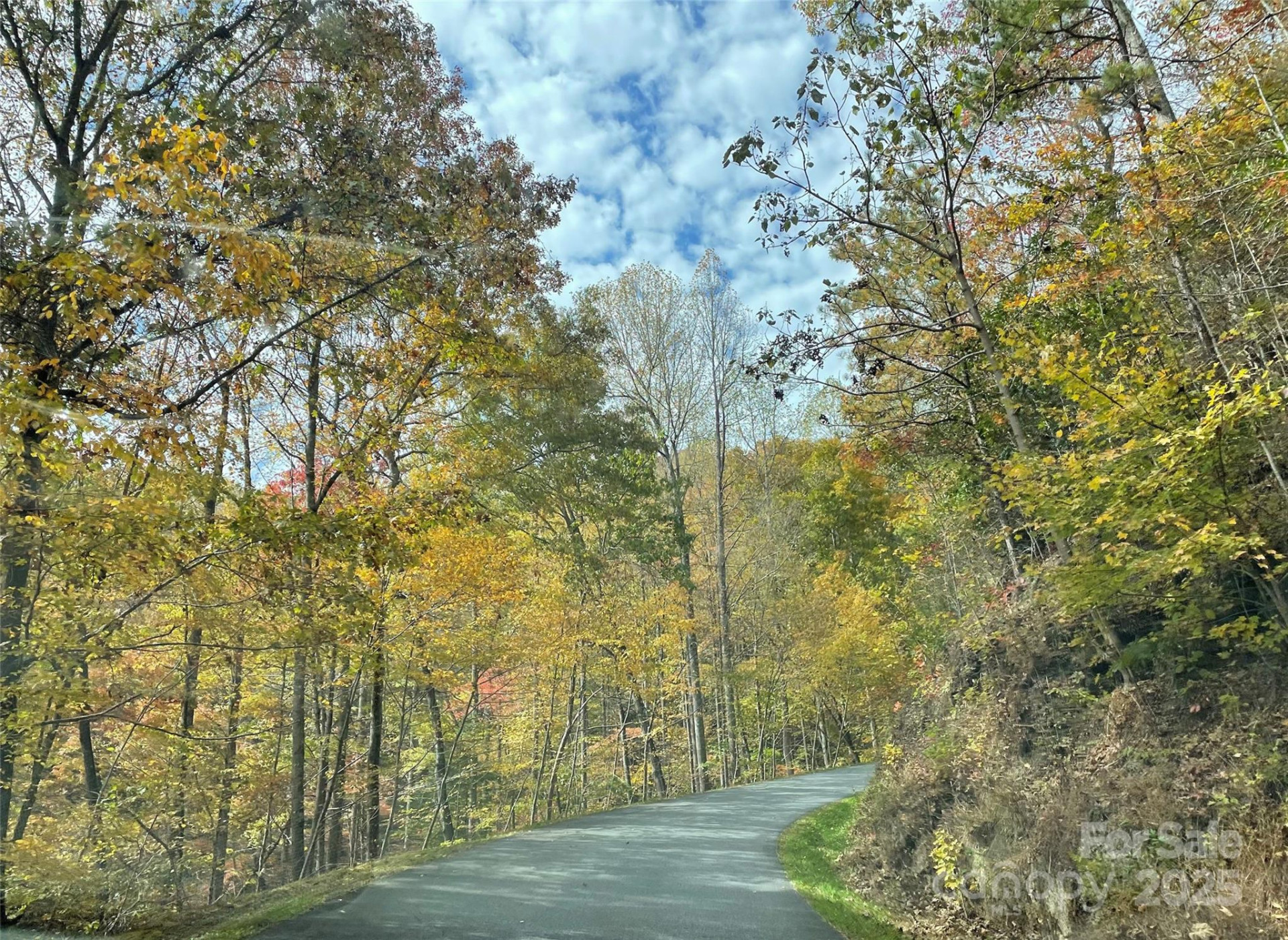 Lot 8 Rocky Ridge Road - Photo 9