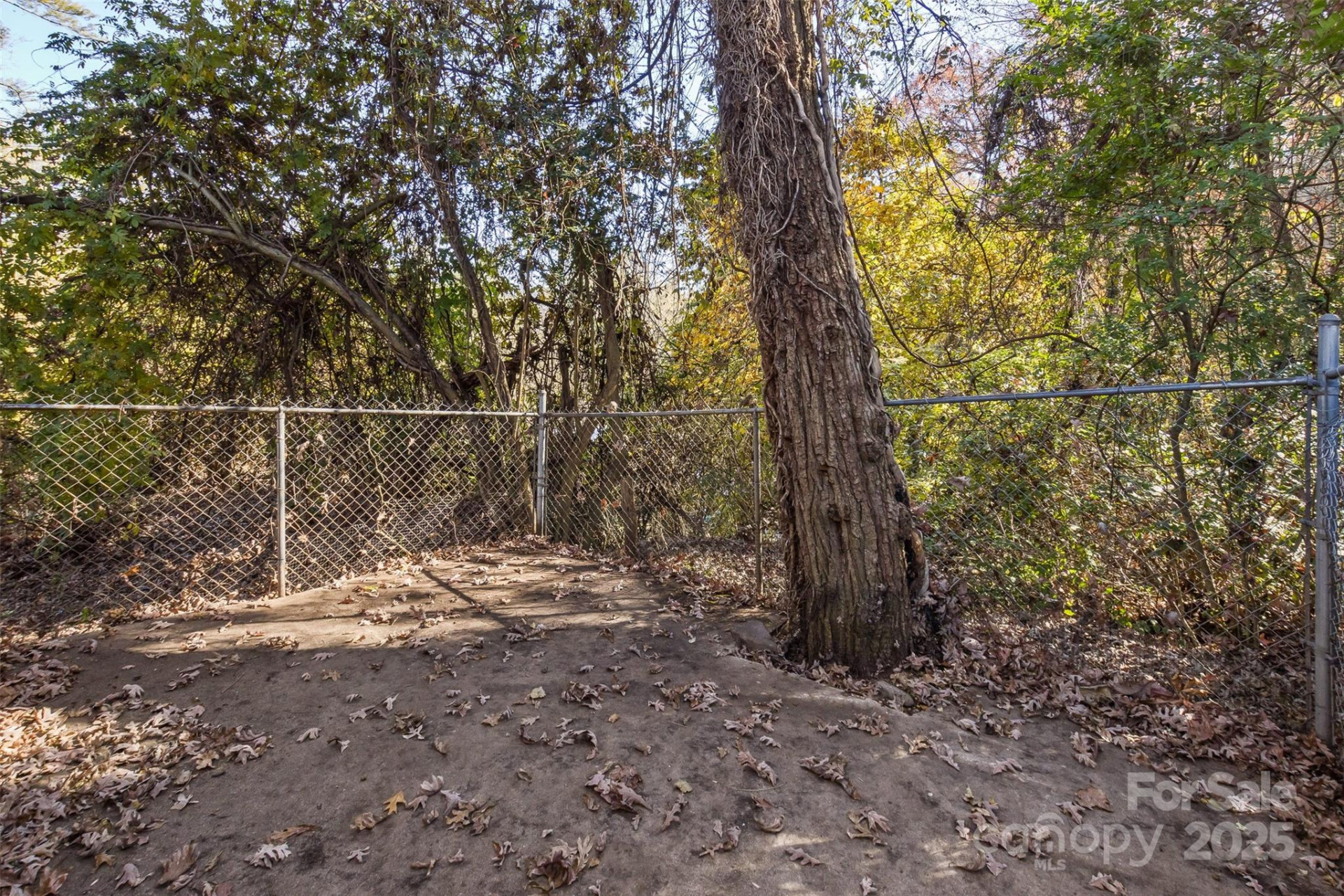 195 Terrace Drive - Photo 42