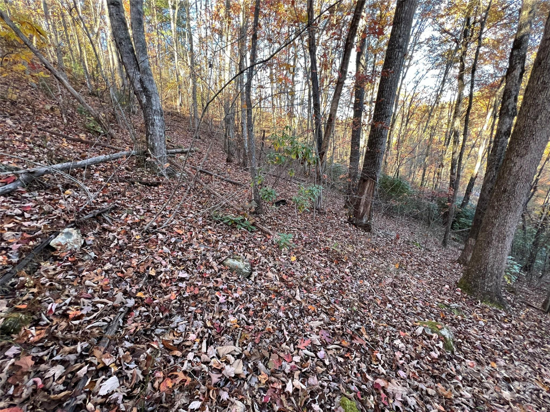 Lot 66 Musket Drive - Photo 2