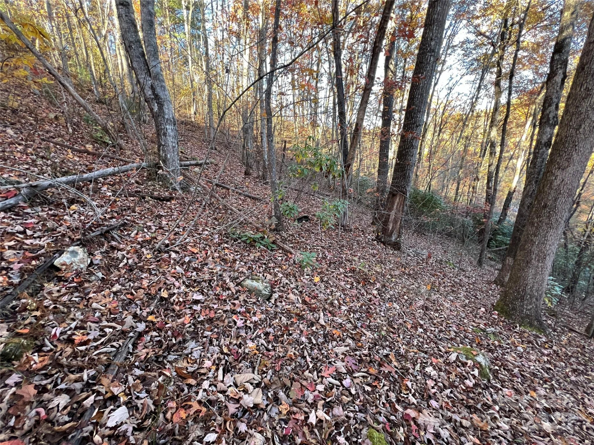 Lot 66 Musket Drive - Photo 2
