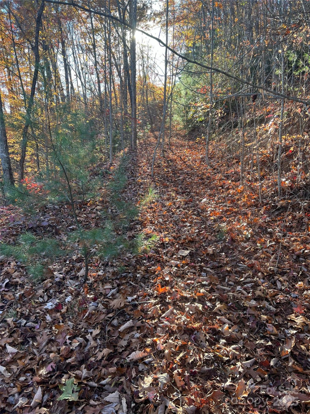 Lot 66 Musket Drive - Photo 4