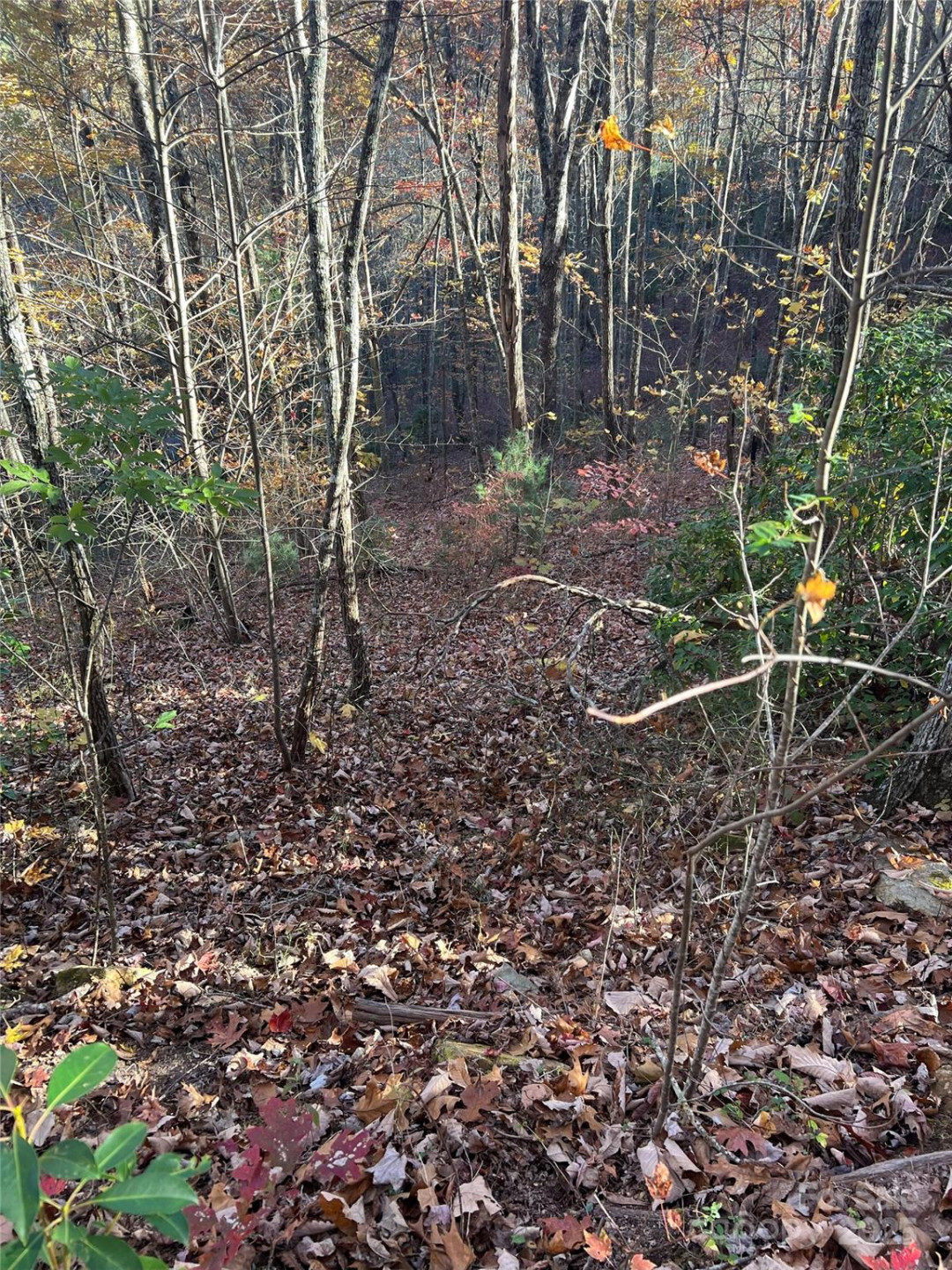 Lot 66 Musket Drive - Photo 5