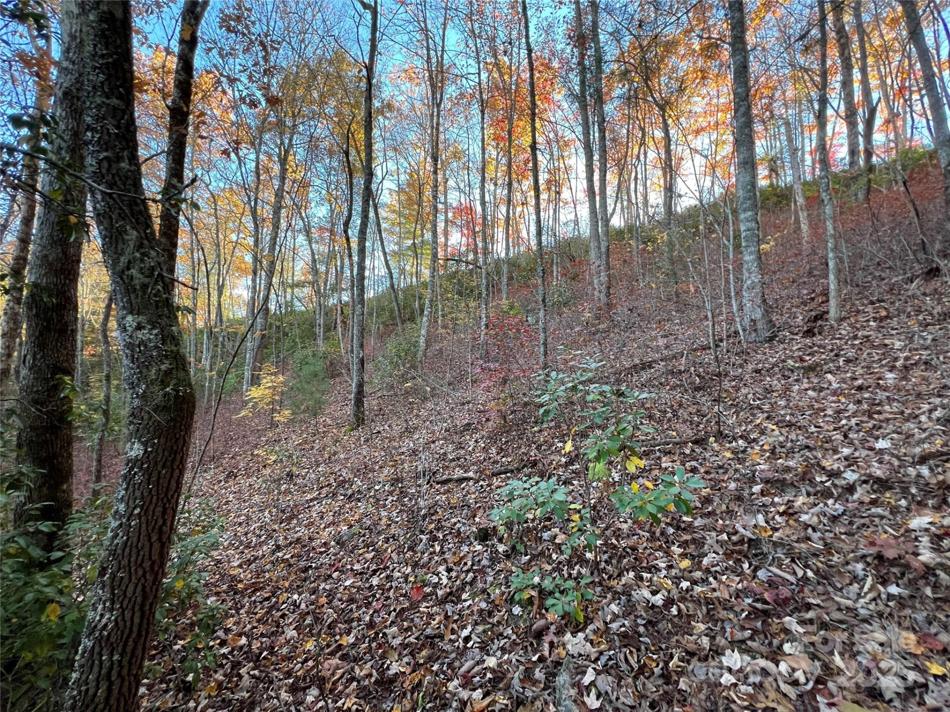 Lot 66 Musket Drive - Photo 6