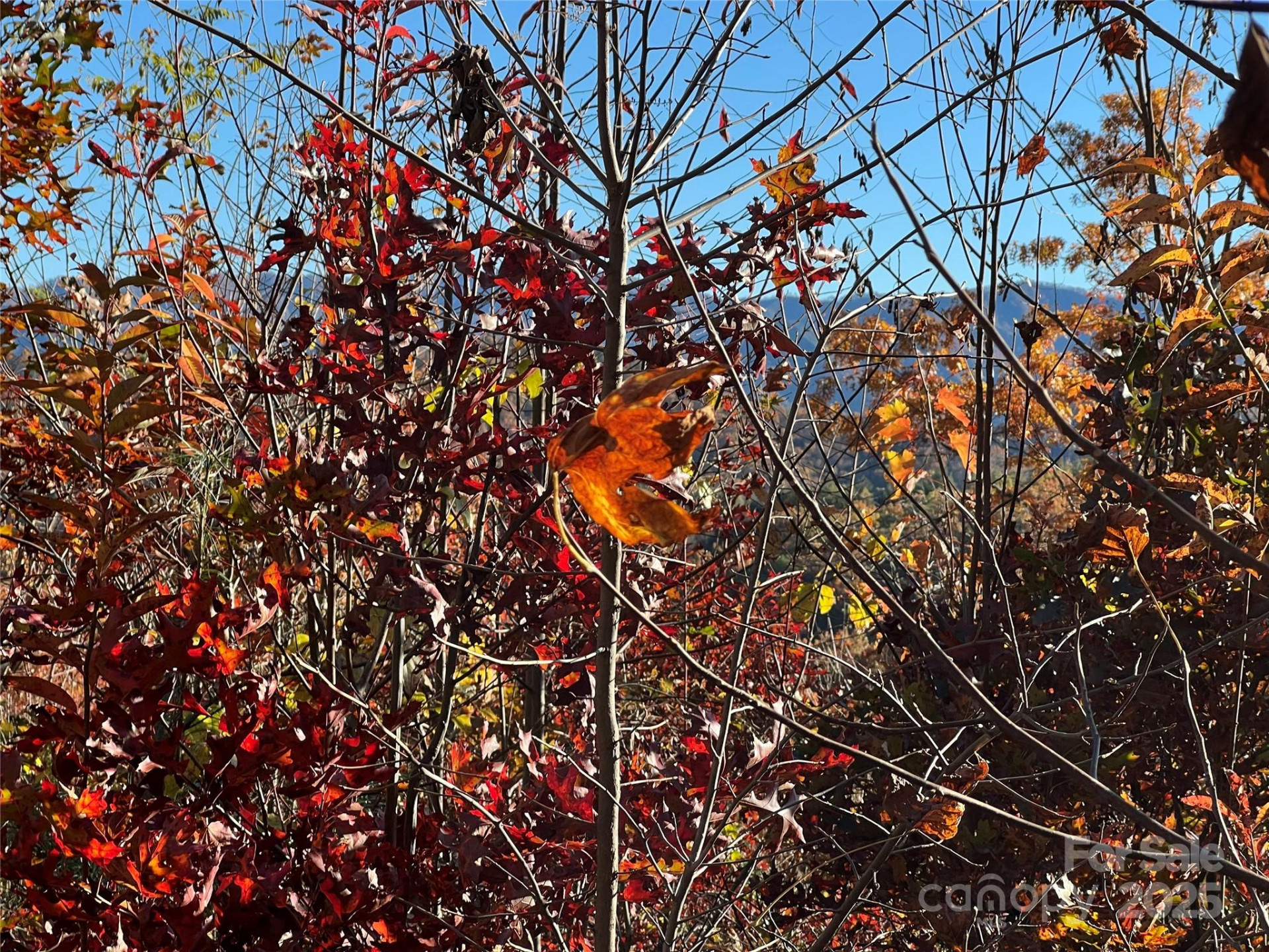 Lot 66 Musket Drive - Photo 7