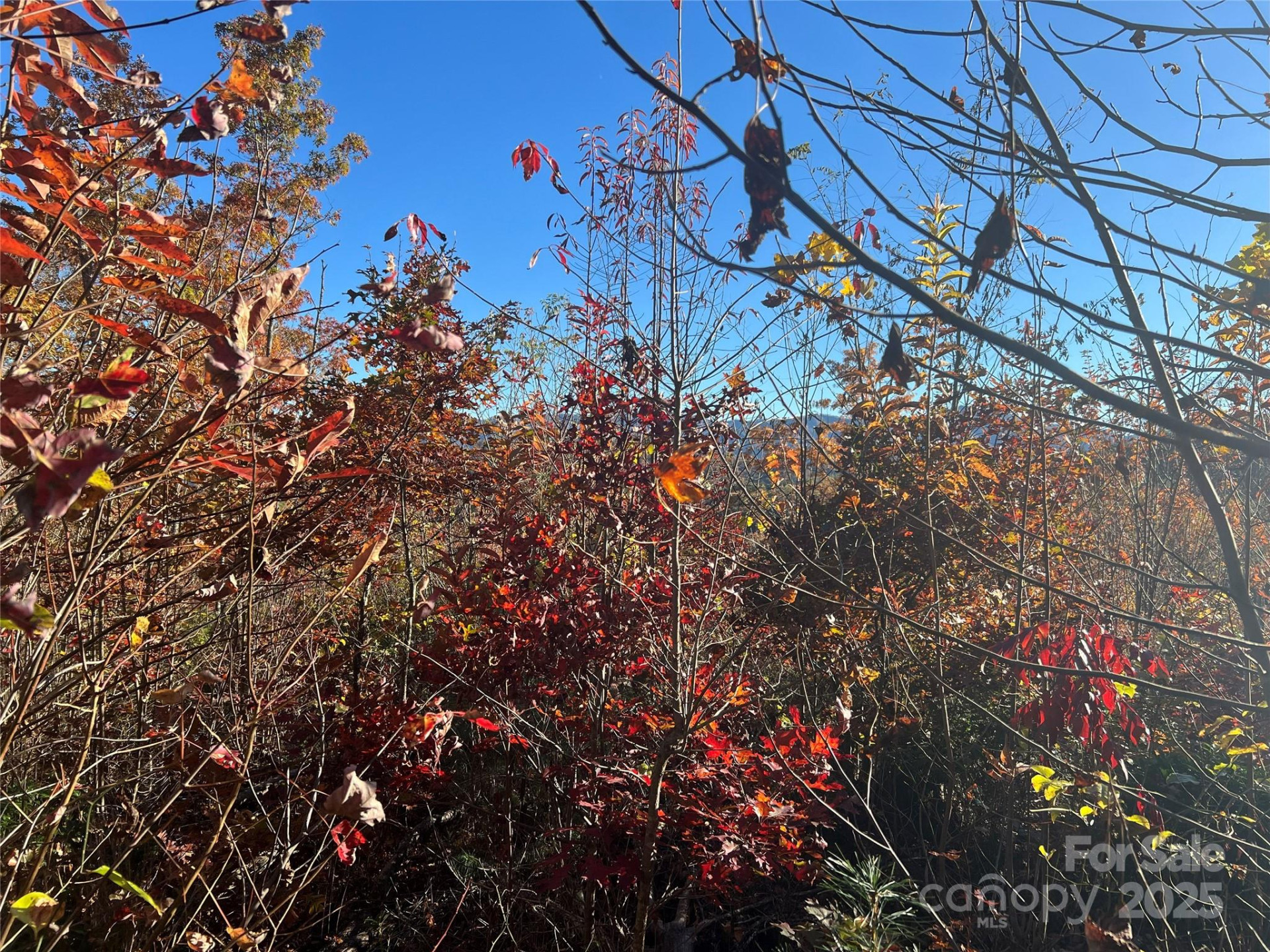 Lot 66 Musket Drive - Photo 8