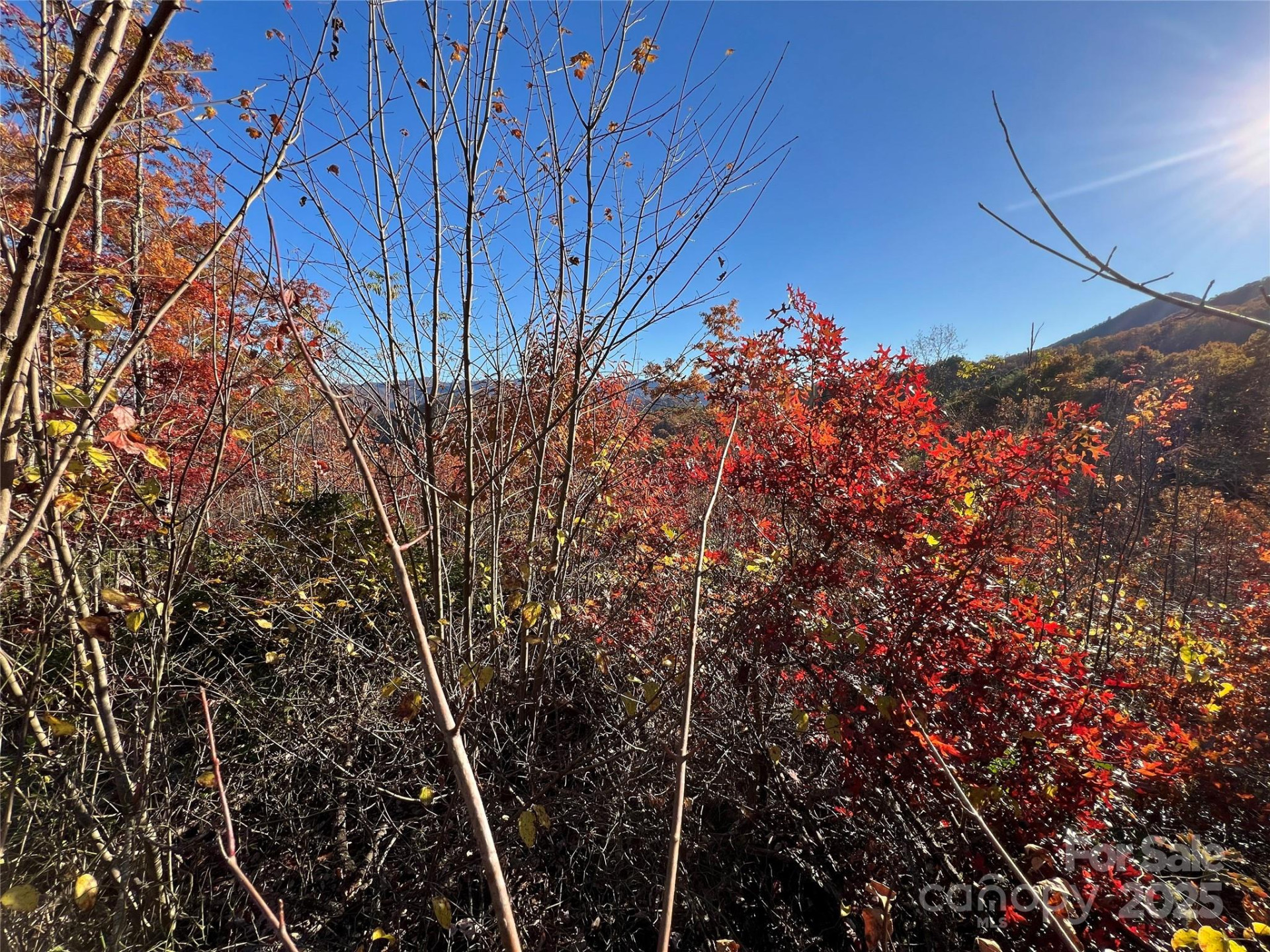 Lot 66 Musket Drive - Photo 9