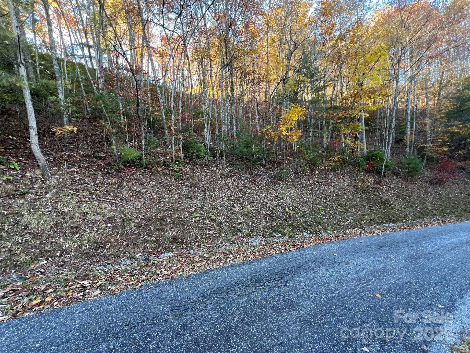 Lot 66 Musket Drive - Photo 10