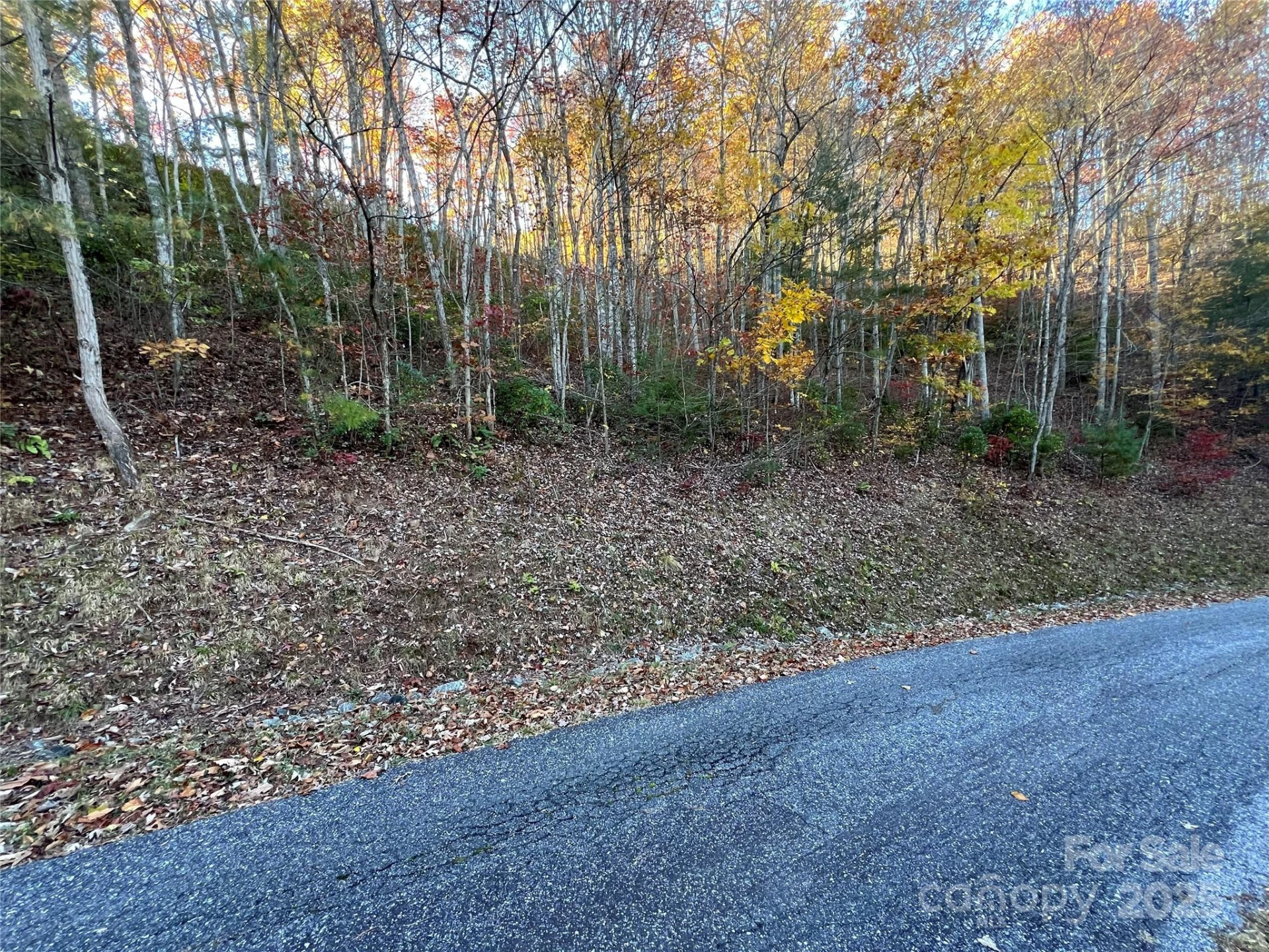 Lot 66 Musket Drive - Photo 10