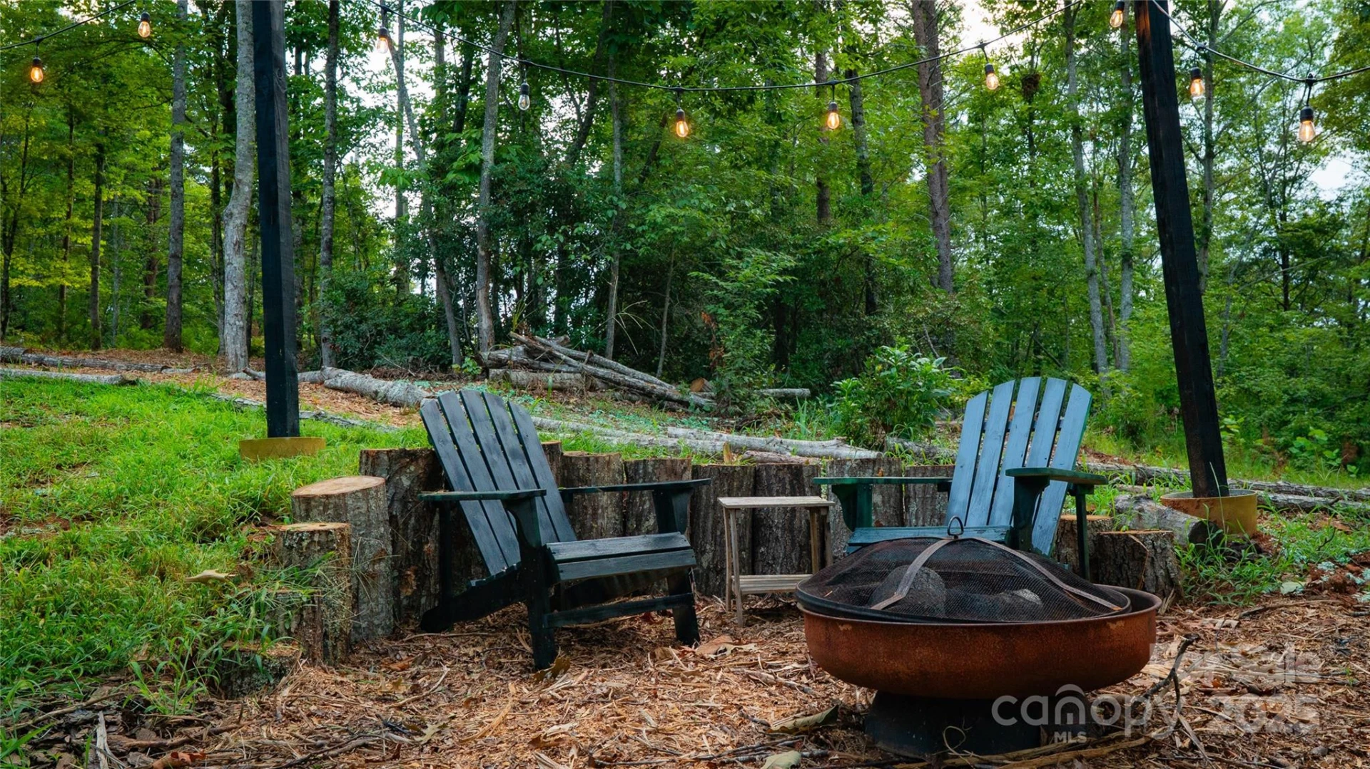 221 Summerfield Lane - Photo 5