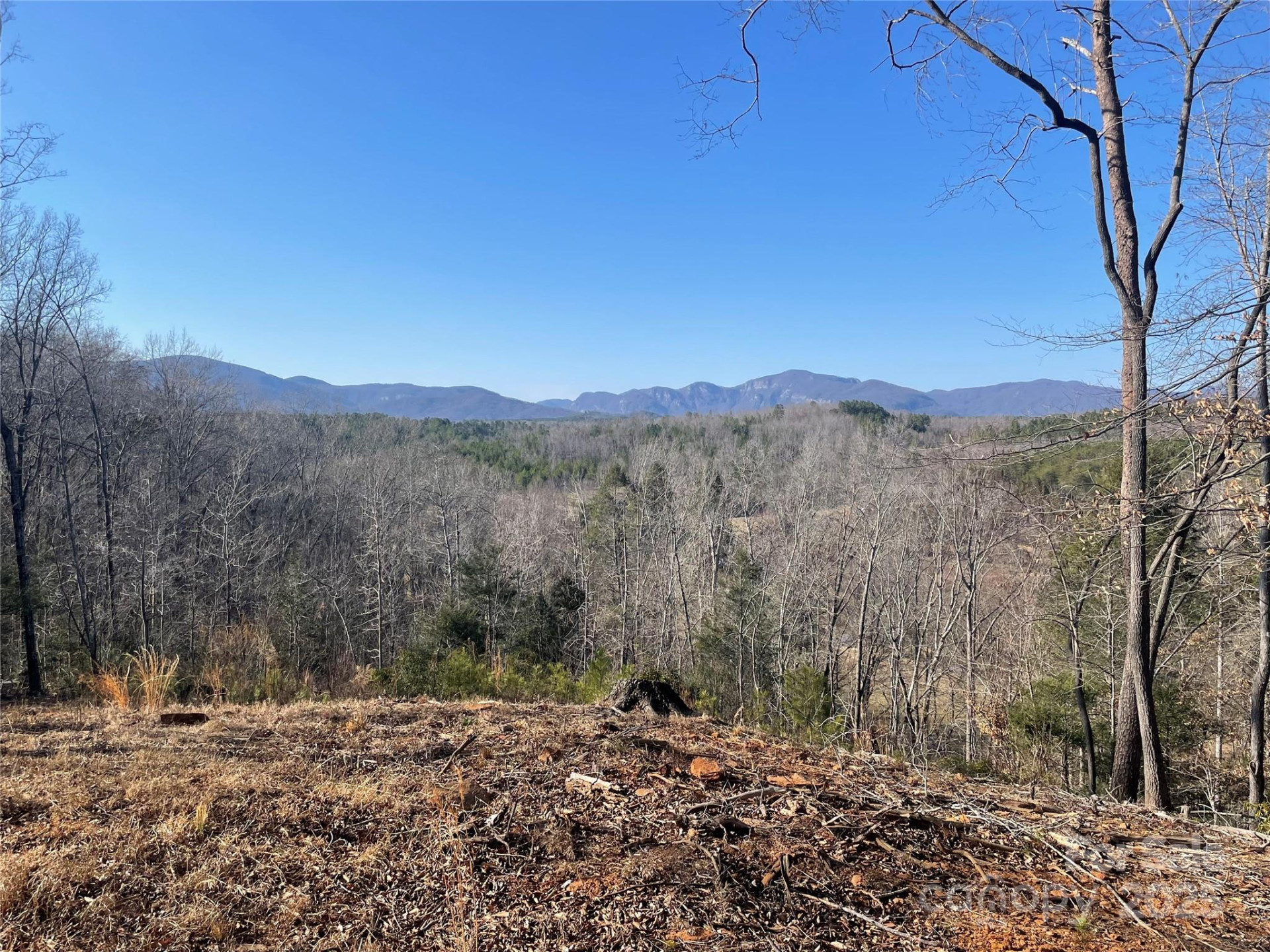 TBD Cross Creek Trail - Photo 8