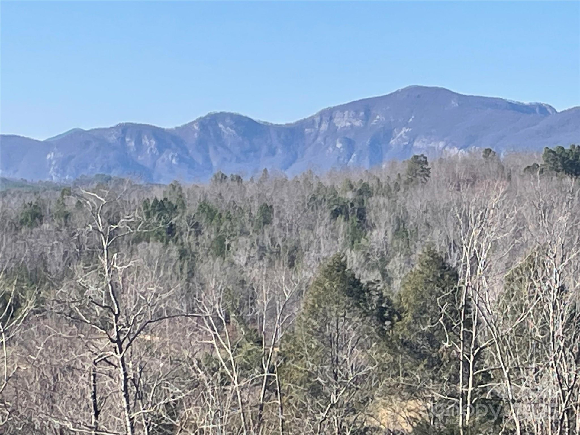 TBD Cross Creek Trail - Photo 9