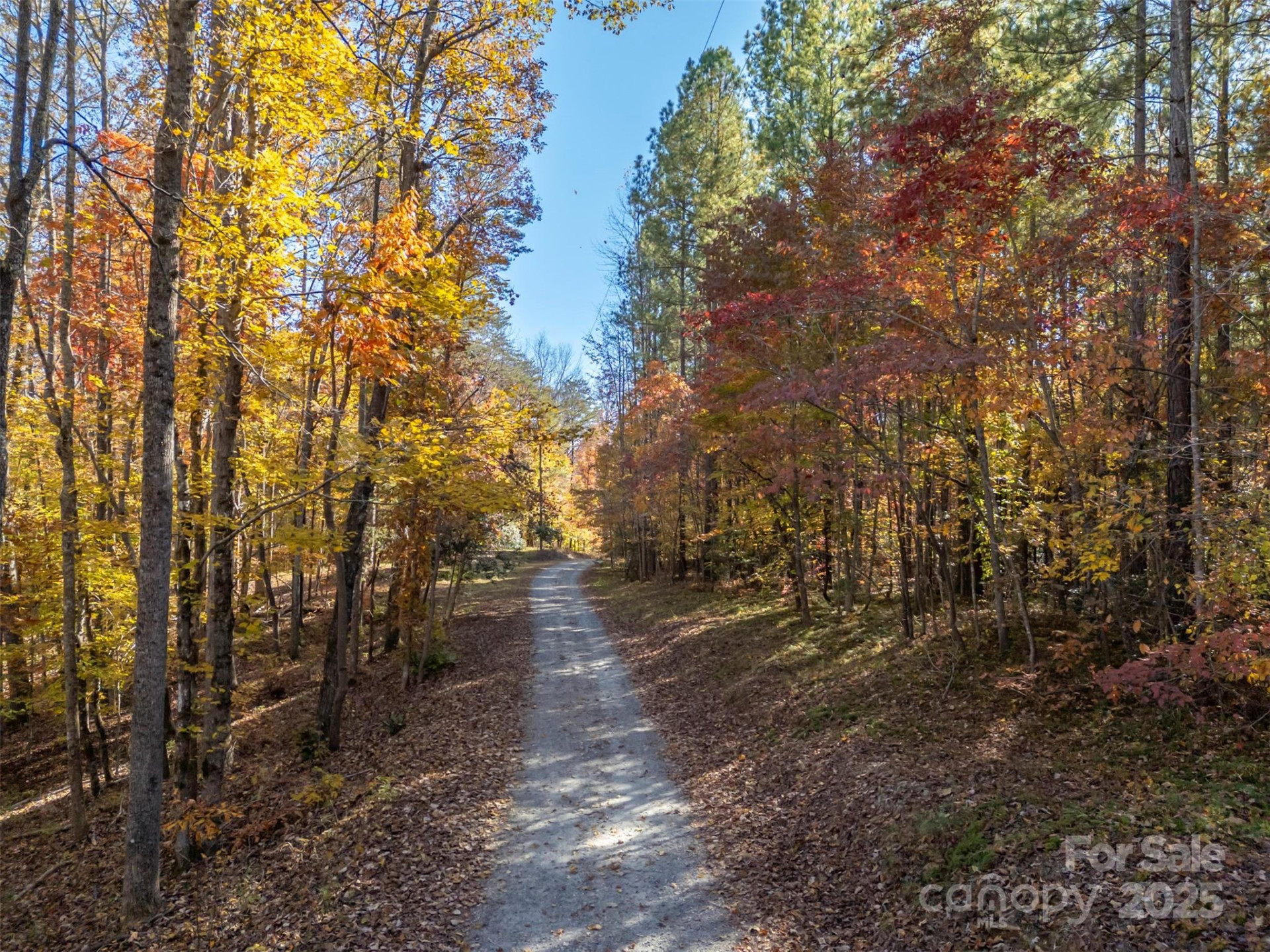 10105 NC Hwy 108 Highway - Photo 2