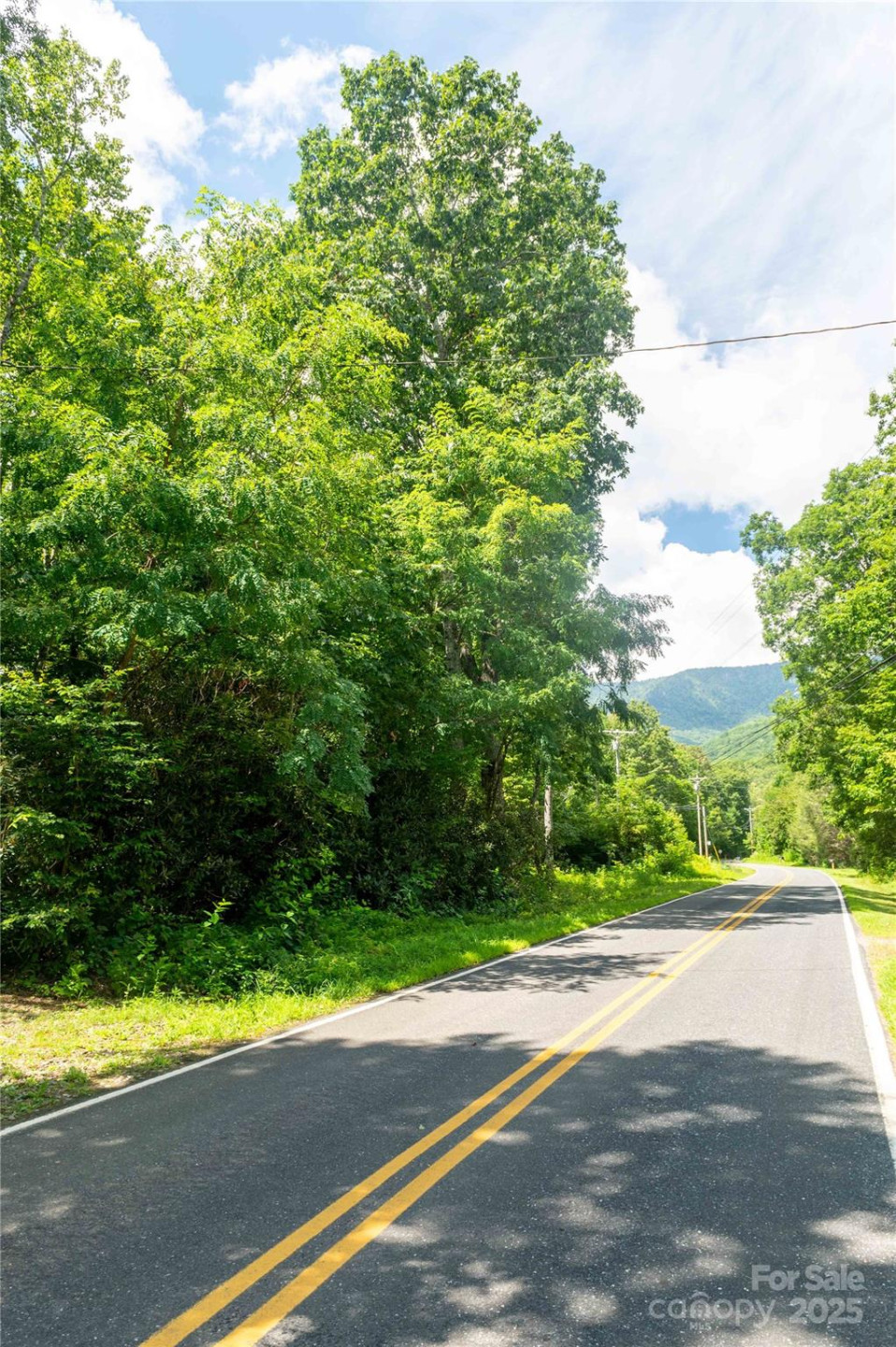 245 White Oak Creek Road - Photo 14