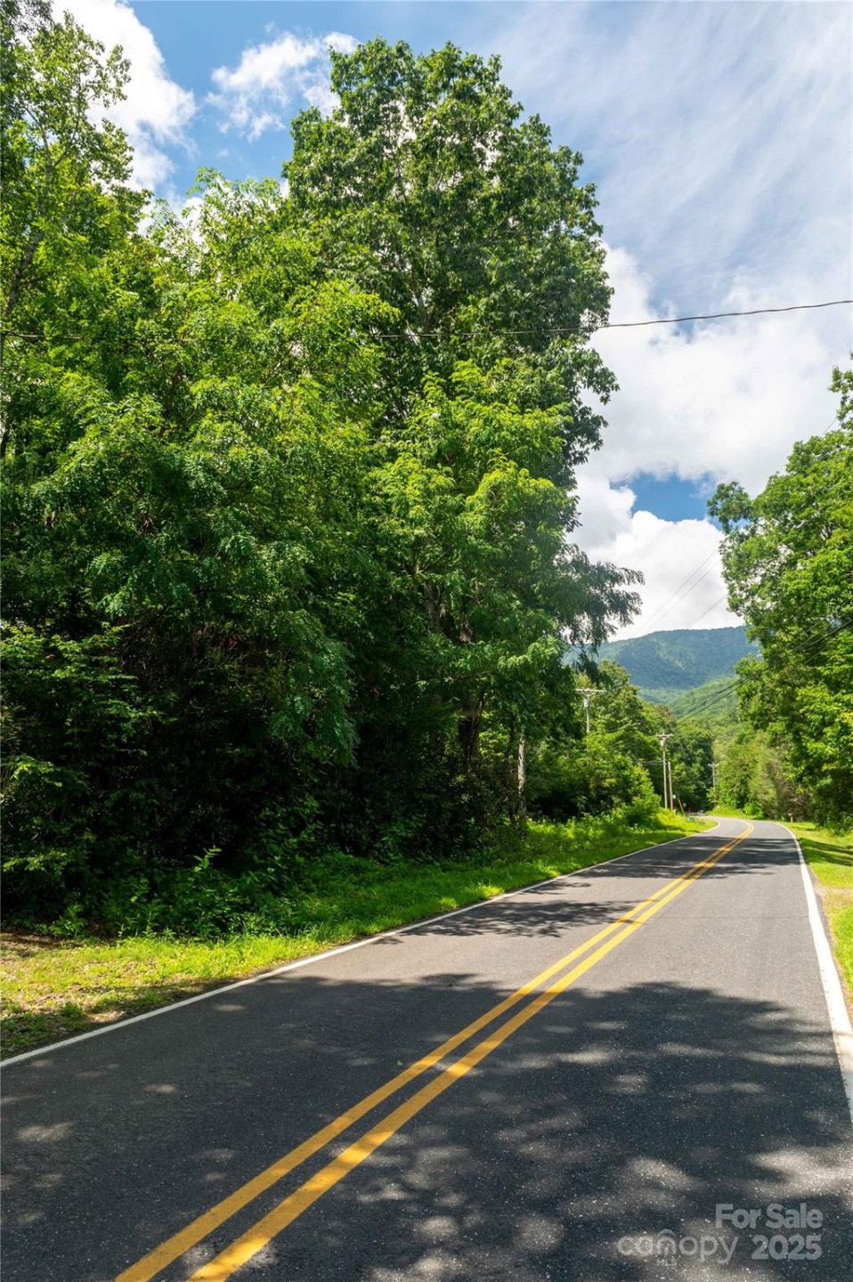 245 White Oak Creek Road - Photo 15