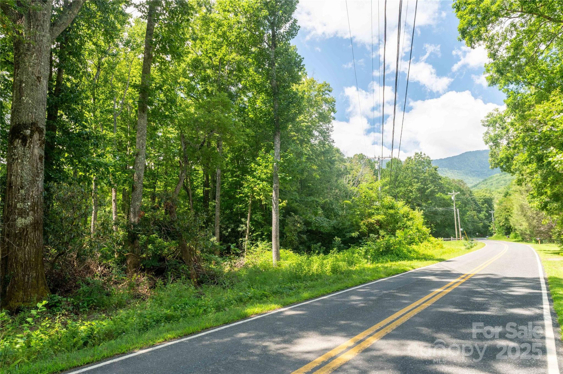 245 White Oak Creek Road - Photo 16