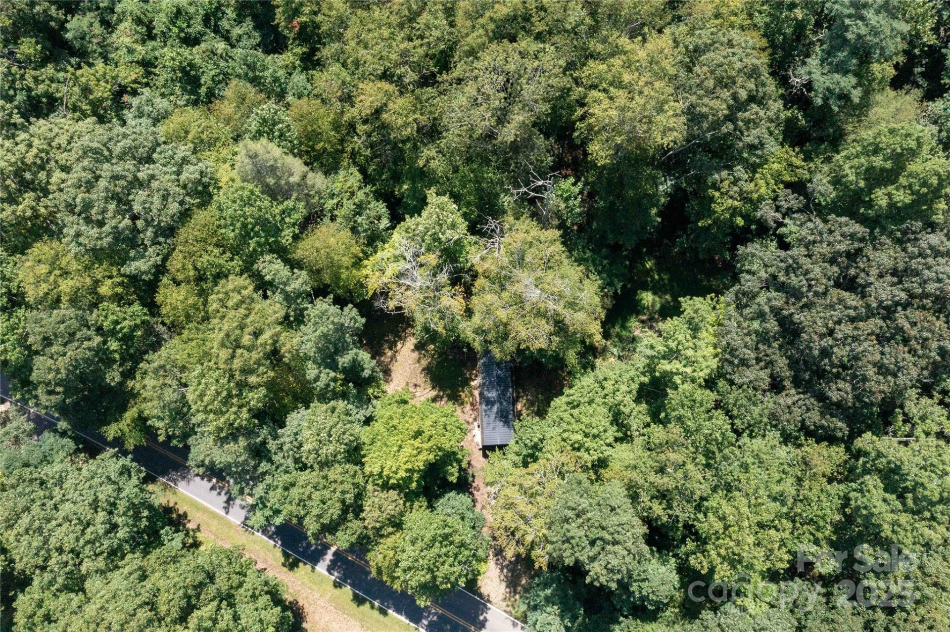 245 White Oak Creek Road - Photo 3