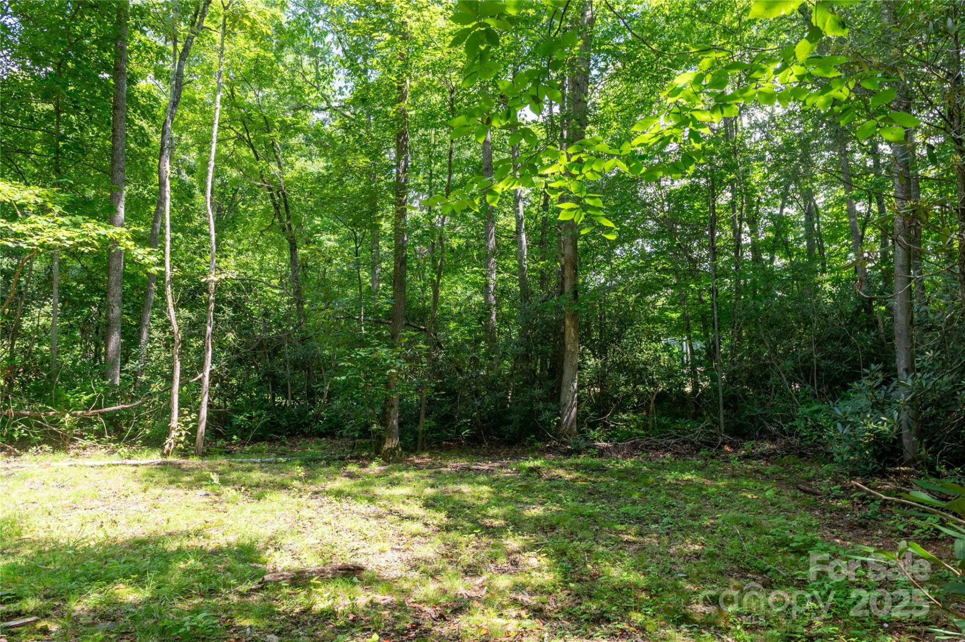 245 White Oak Creek Road - Photo 22
