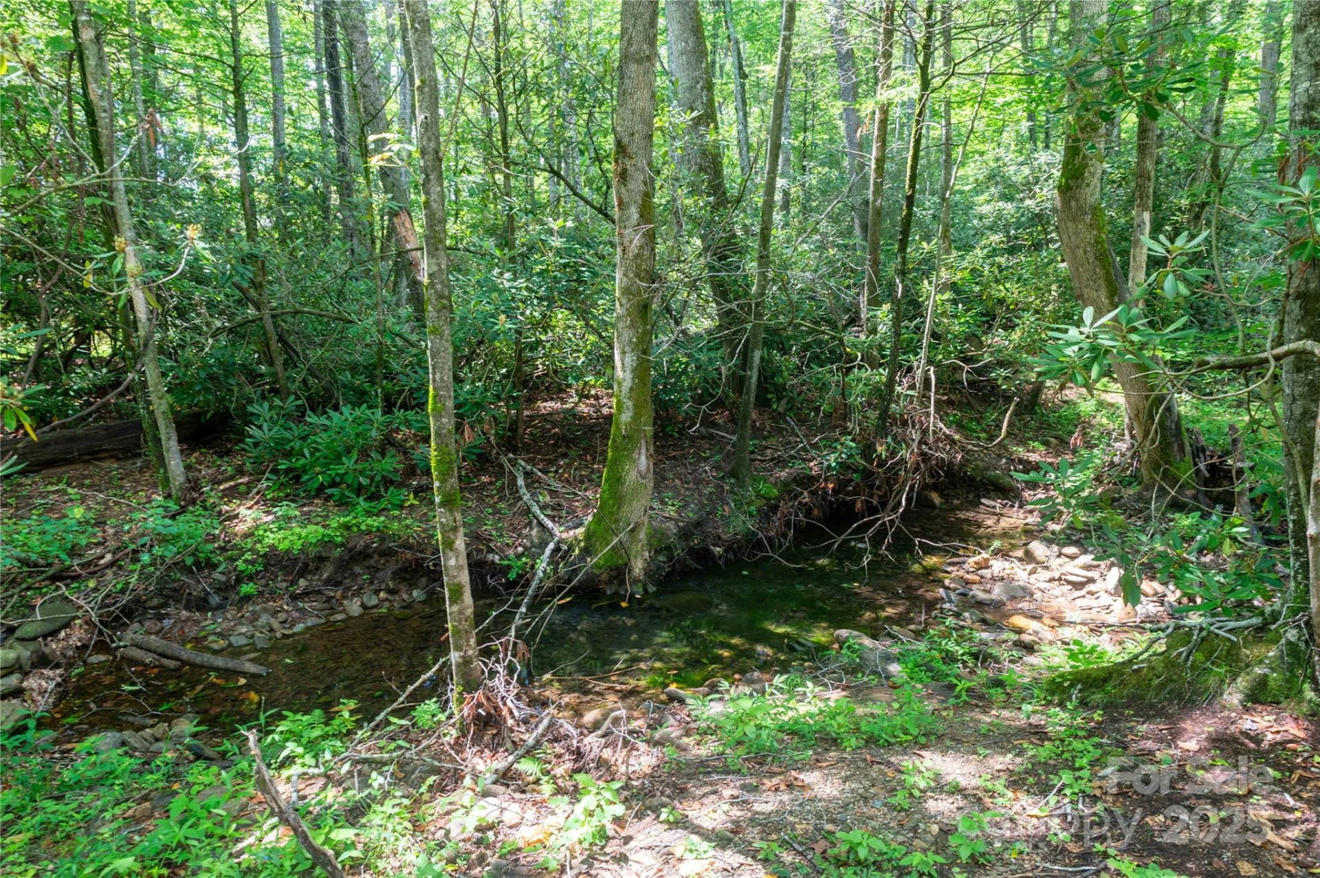 245 White Oak Creek Road - Photo 23