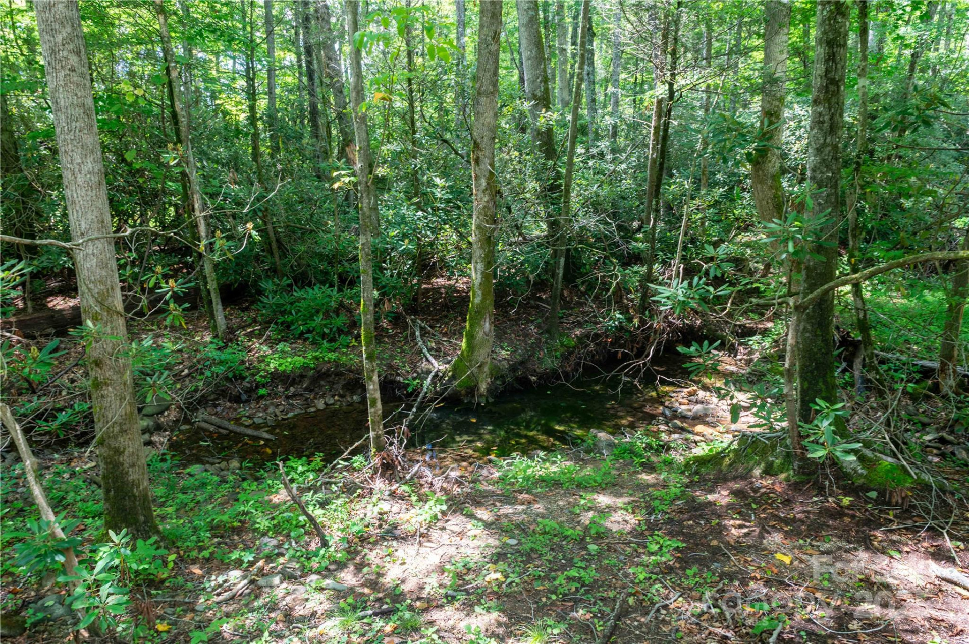 245 White Oak Creek Road - Photo 24