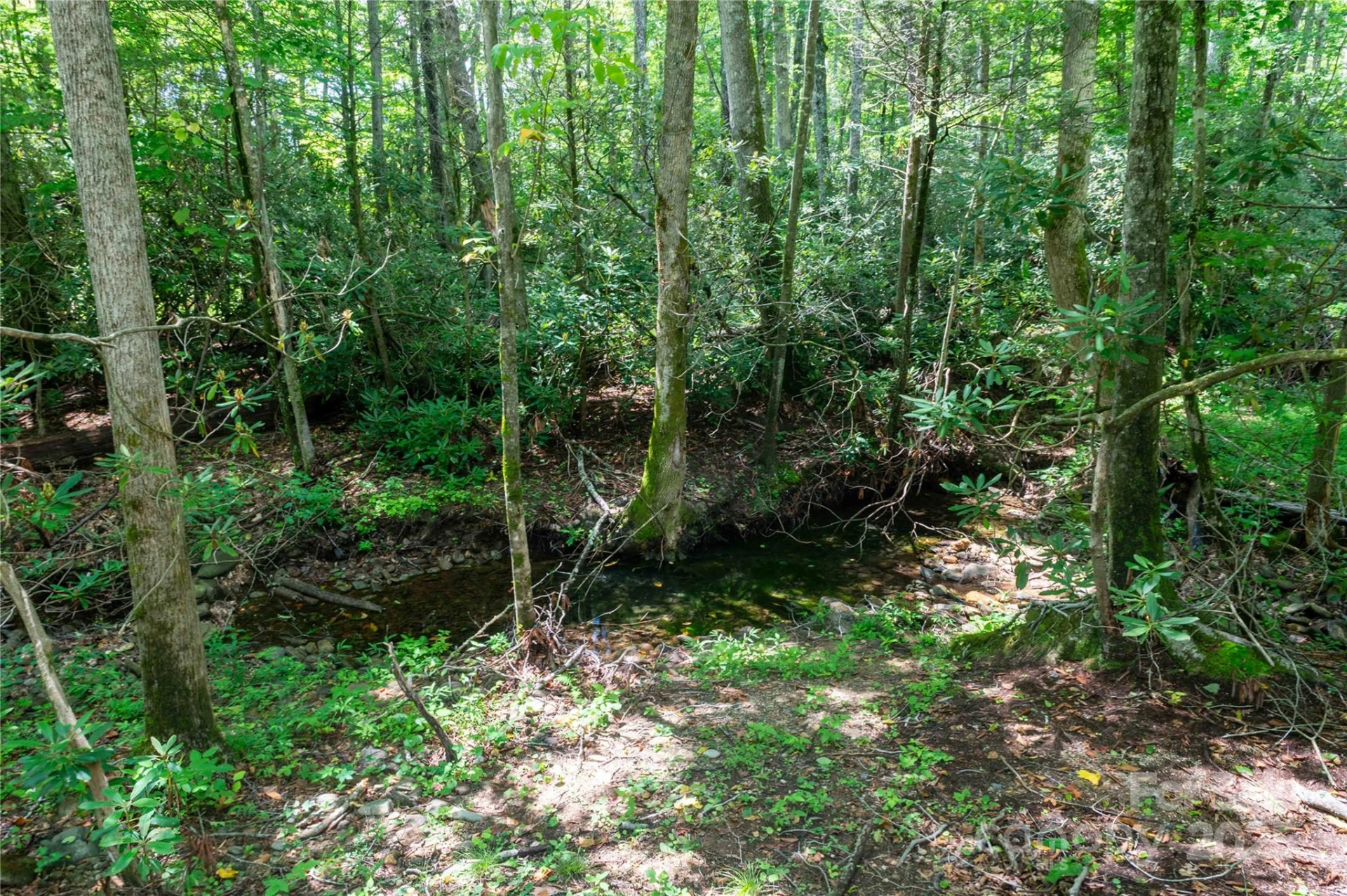 245 White Oak Creek Road - Photo 24